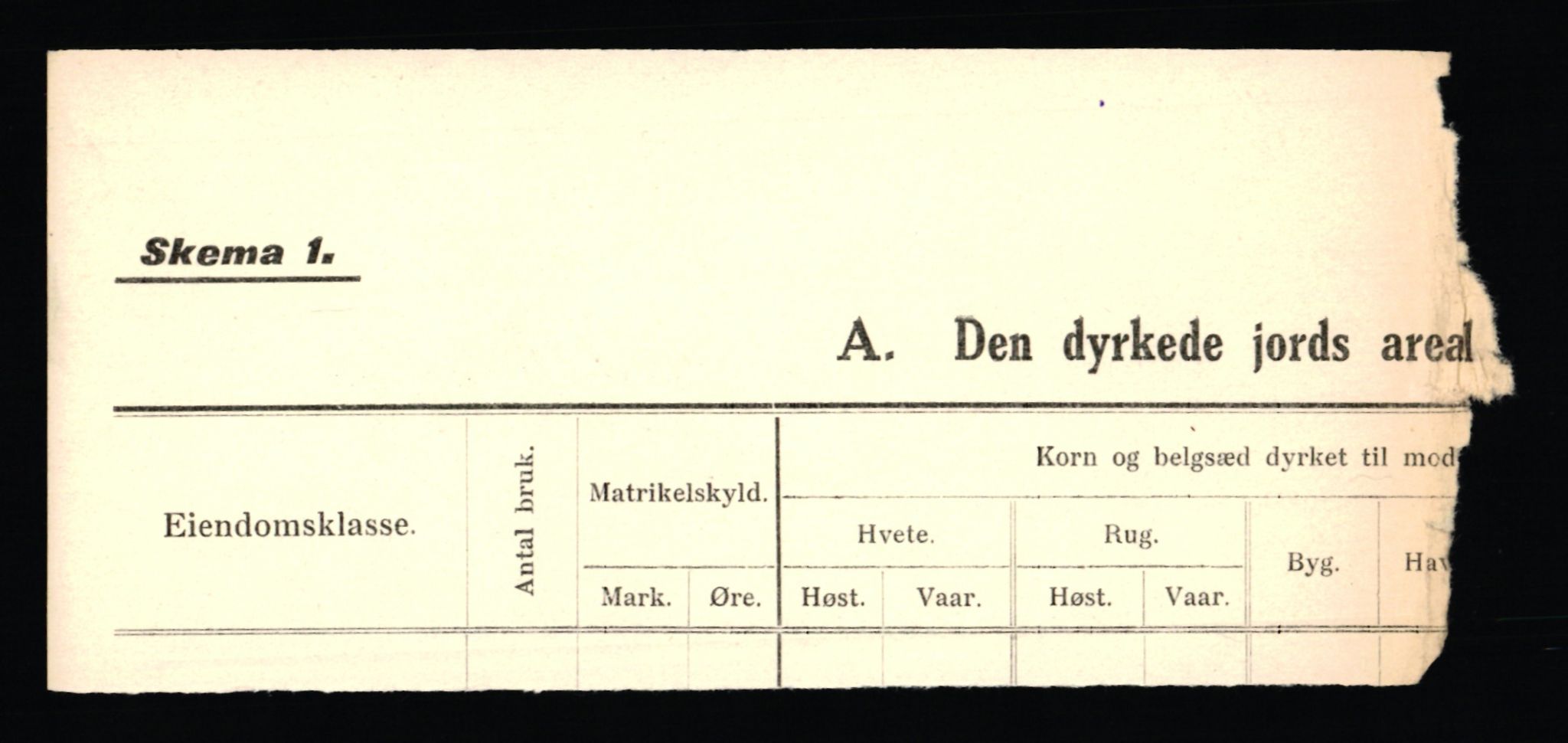 Statistisk sentralbyrå, Næringsøkonomiske emner, Jordbruk, skogbruk, jakt, fiske og fangst, AV/RA-S-2234/H/Ha/L0036: Buskerud: Rollag, Nore, Uvdal og Kongsberg, 1927, p. 463