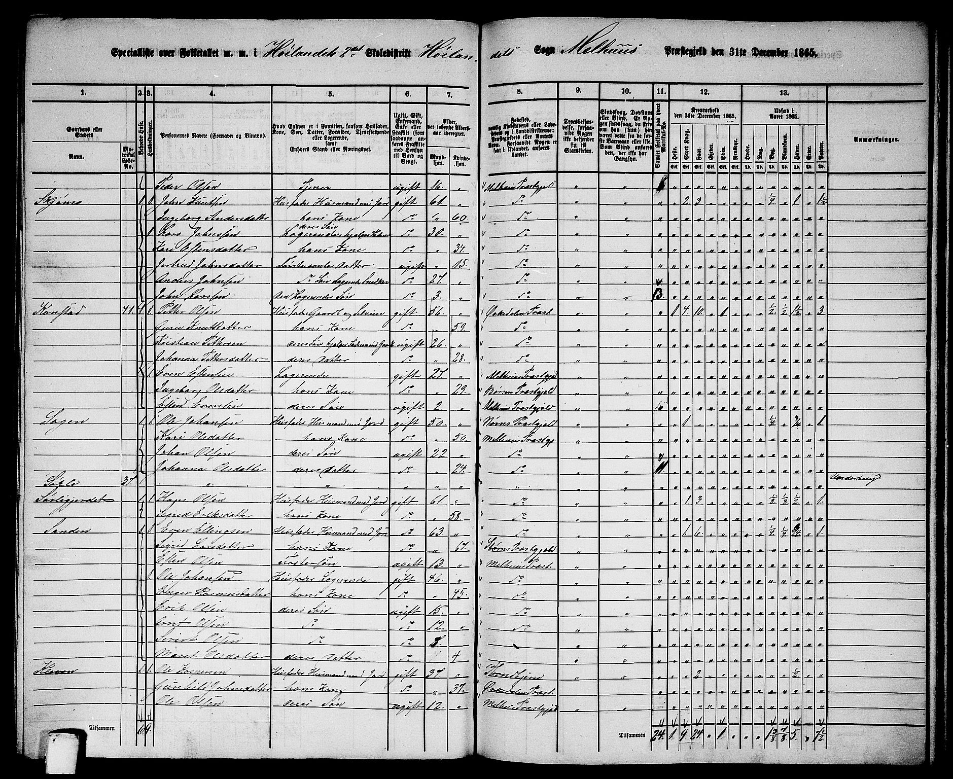 RA, 1865 census for Melhus, 1865, p. 193