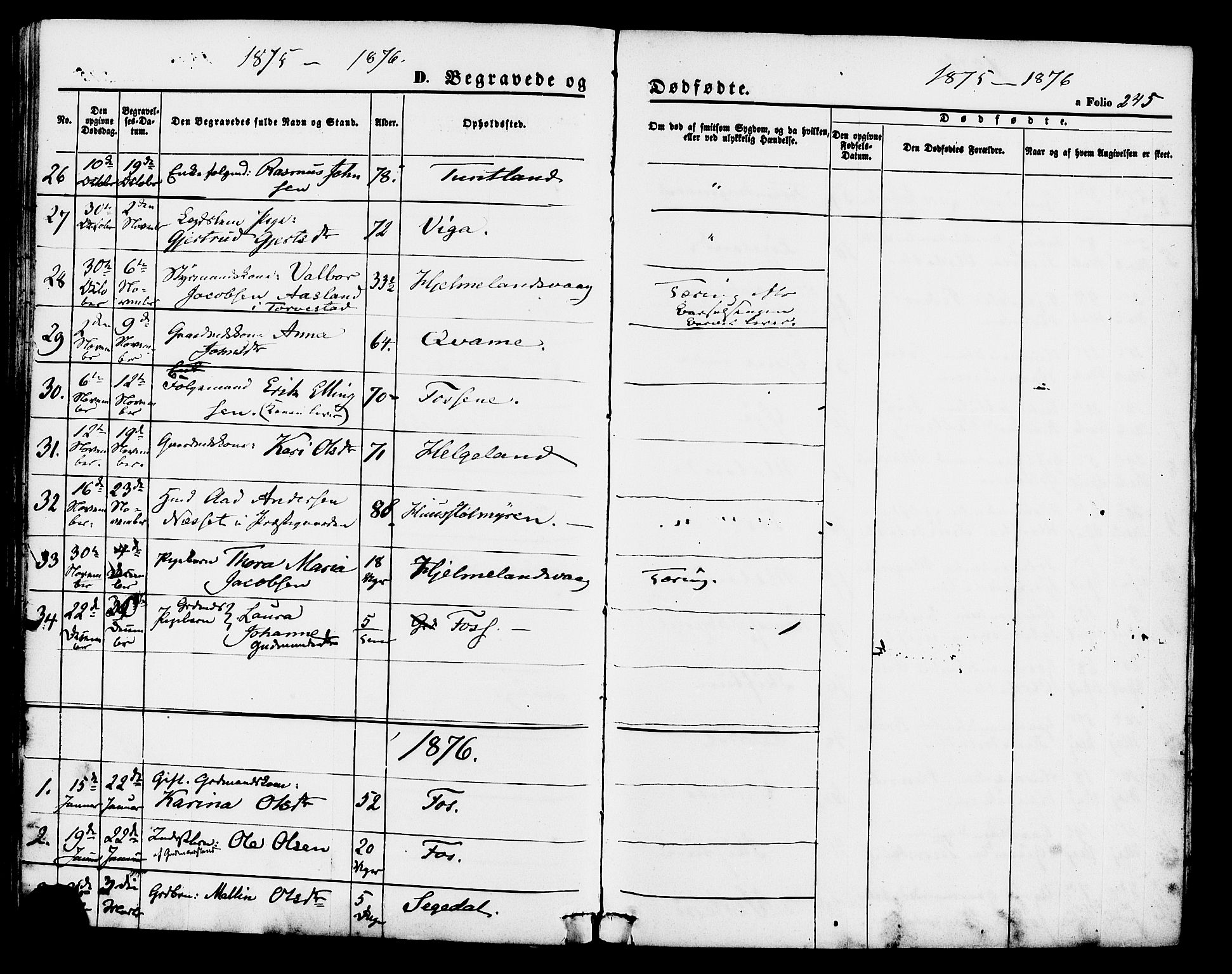 Hjelmeland sokneprestkontor, SAST/A-101843/01/IV/L0011: Parish register (official) no. A 11, 1861-1878, p. 245