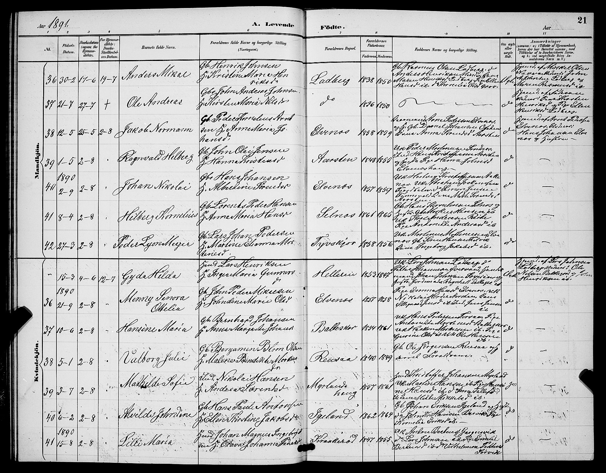 Ibestad sokneprestembete, SATØ/S-0077/H/Ha/Hab/L0008klokker: Parish register (copy) no. 8, 1890-1903, p. 21