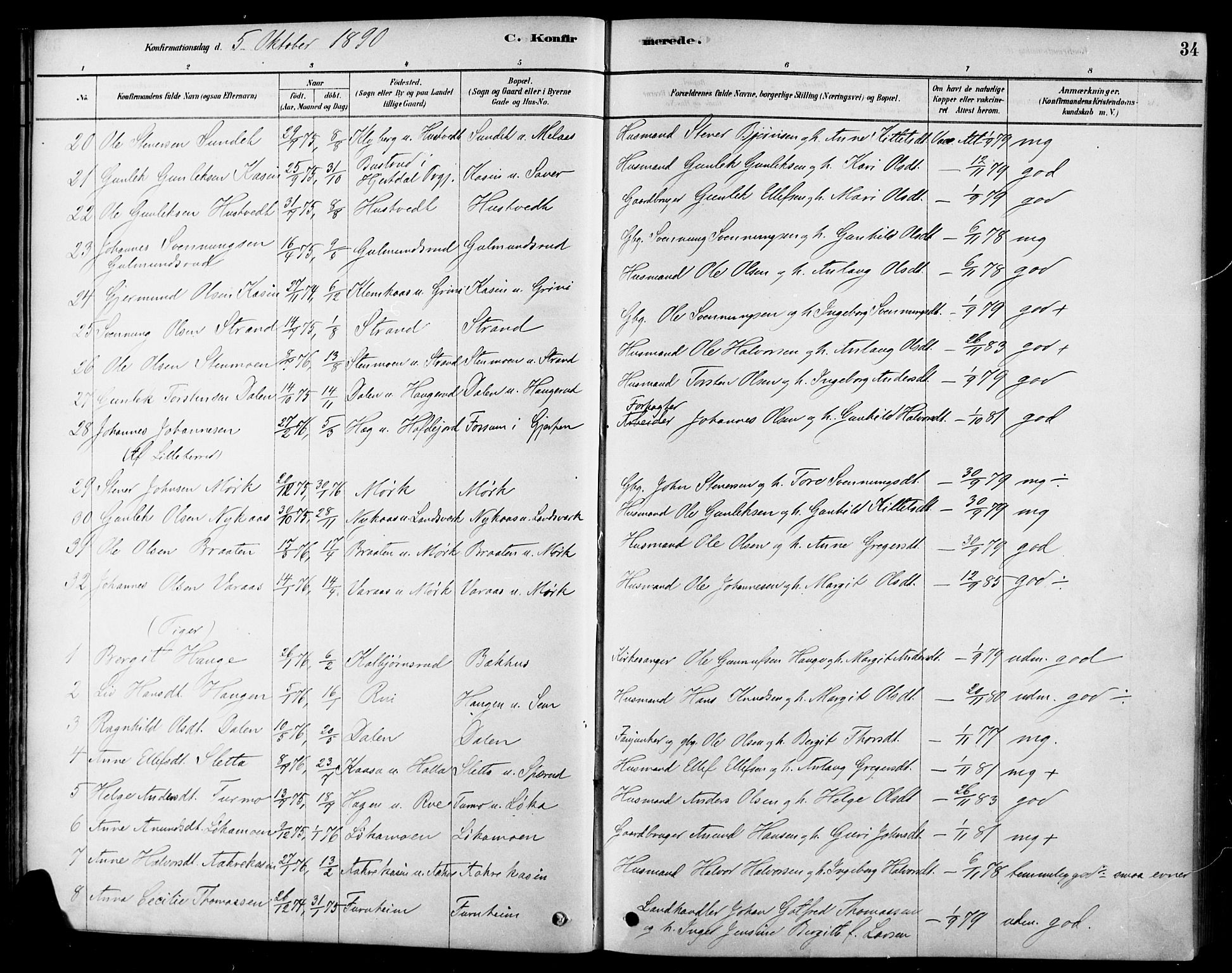 Heddal kirkebøker, SAKO/A-268/F/Fa/L0009: Parish register (official) no. I 9, 1878-1903, p. 34