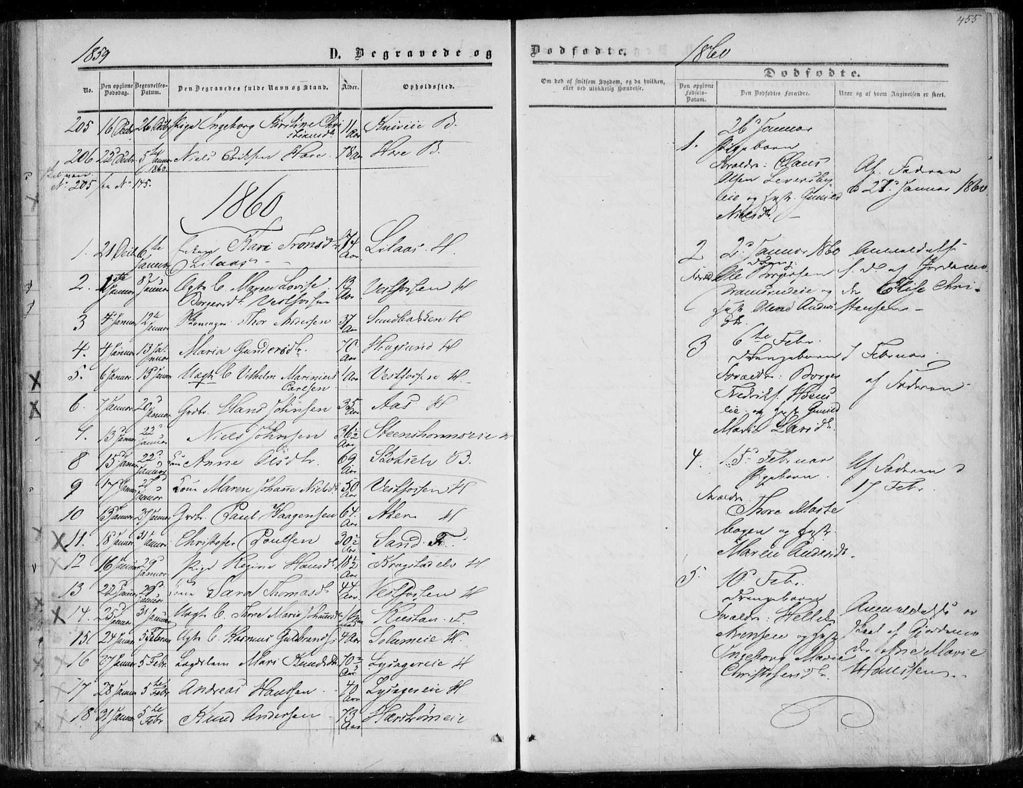 Eiker kirkebøker, AV/SAKO-A-4/F/Fa/L0015b: Parish register (official) no. I 15B, 1854-1860, p. 455