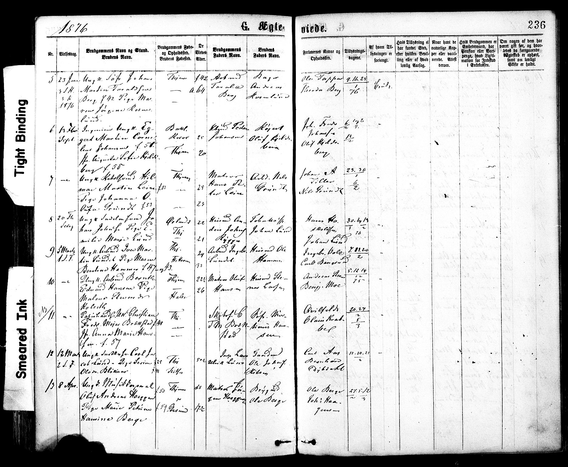 Ministerialprotokoller, klokkerbøker og fødselsregistre - Sør-Trøndelag, AV/SAT-A-1456/602/L0118: Parish register (official) no. 602A16, 1873-1879, p. 236