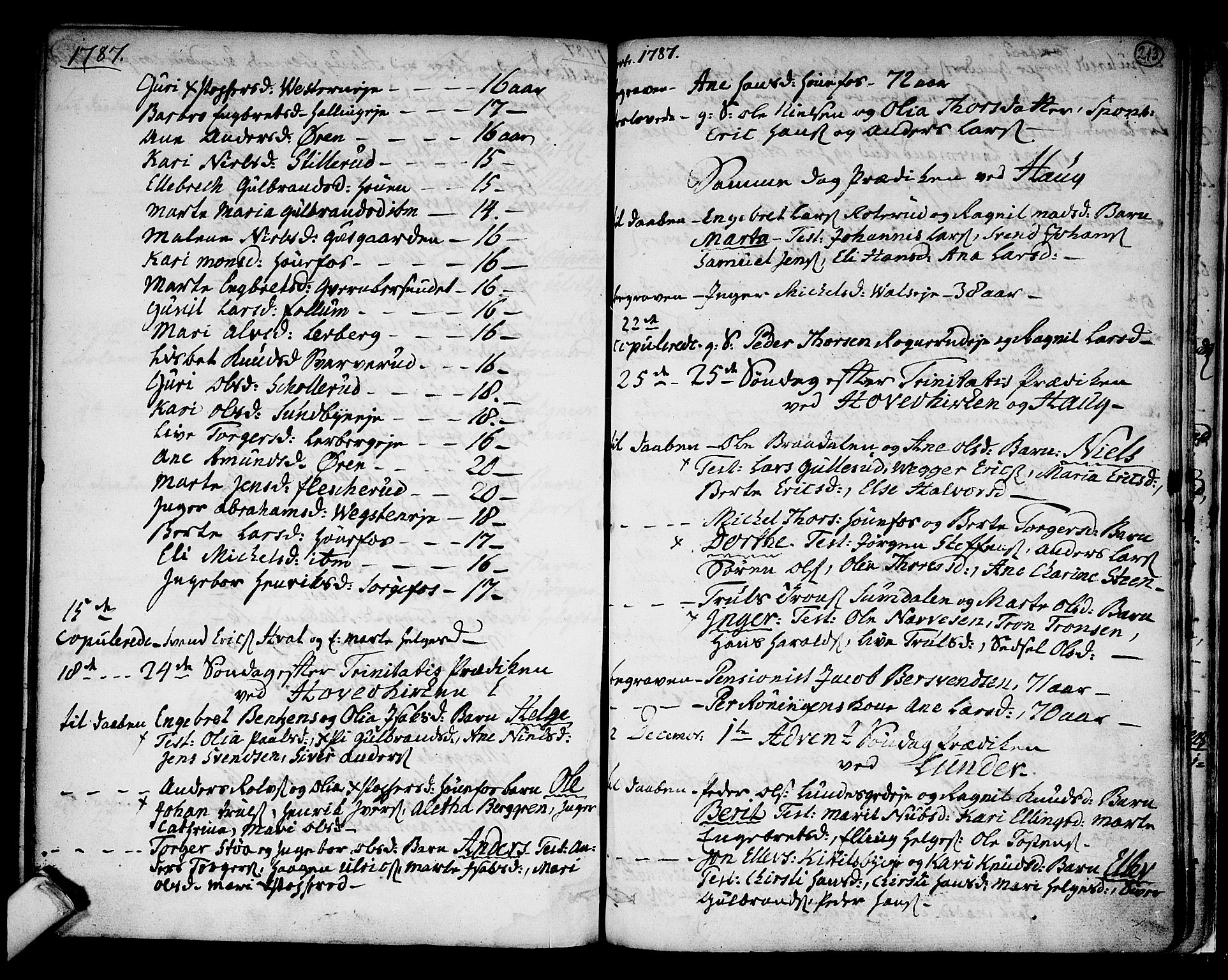 Norderhov kirkebøker, SAKO/A-237/F/Fa/L0005: Parish register (official) no. 5, 1775-1789, p. 213