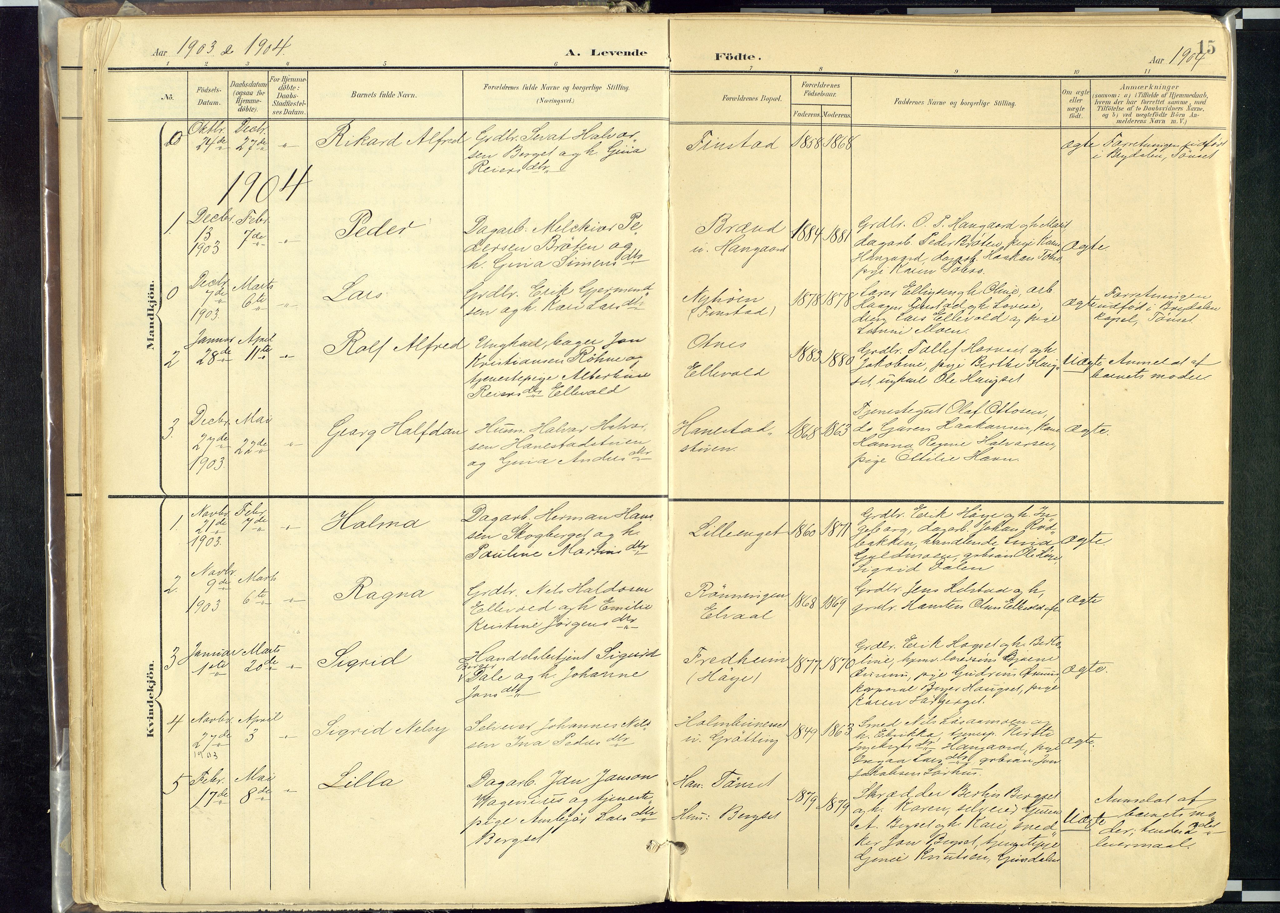 Rendalen prestekontor, SAH/PREST-054/H/Ha/Haa/L0012: Parish register (official) no. 12, 1901-1928, p. 15