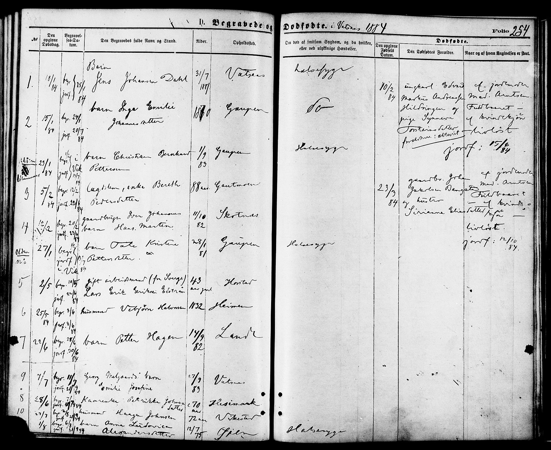 Ministerialprotokoller, klokkerbøker og fødselsregistre - Nordland, AV/SAT-A-1459/810/L0148: Parish register (official) no. 810A09 /1, 1874-1884, p. 254