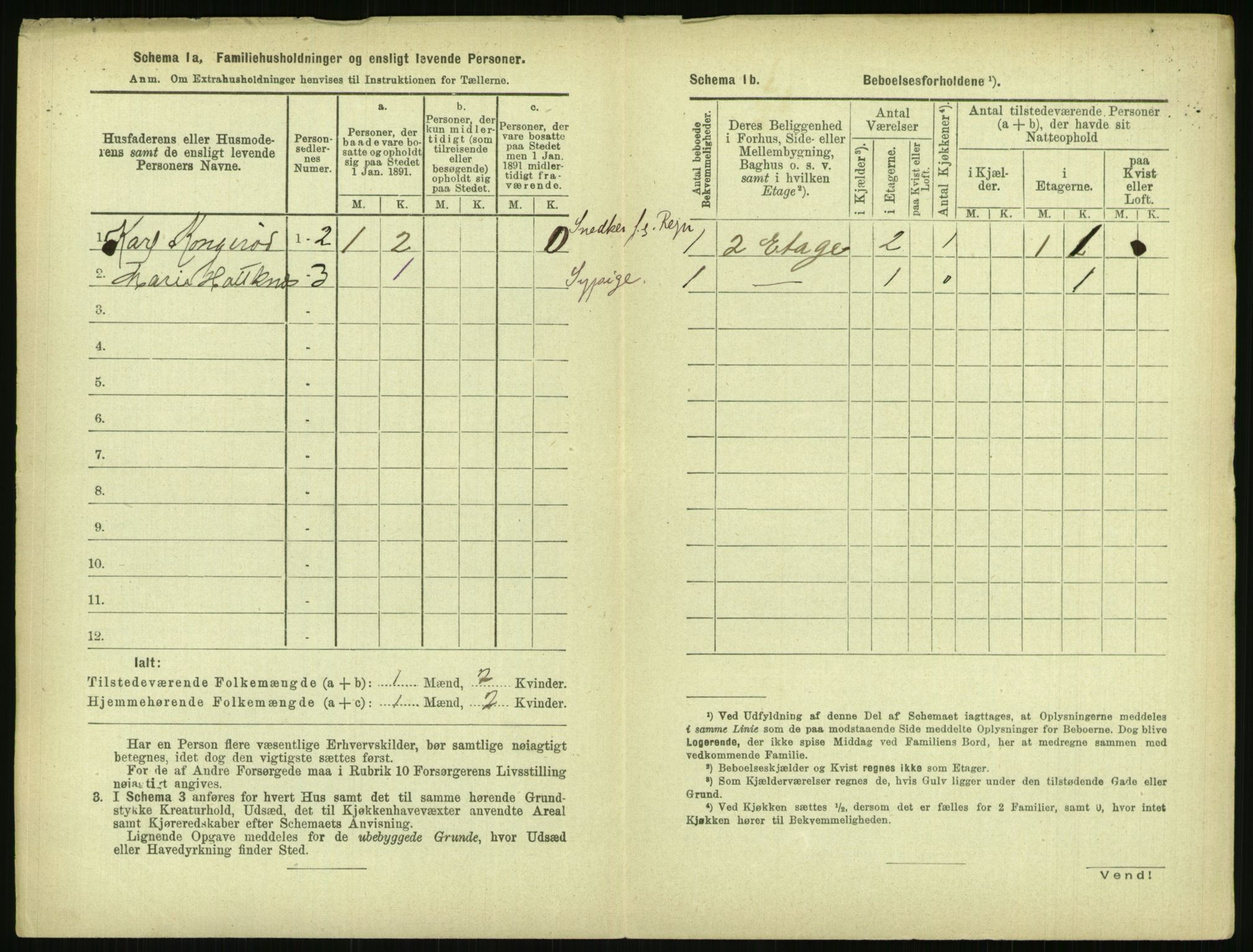 RA, 1891 census for 0806 Skien, 1891, p. 319