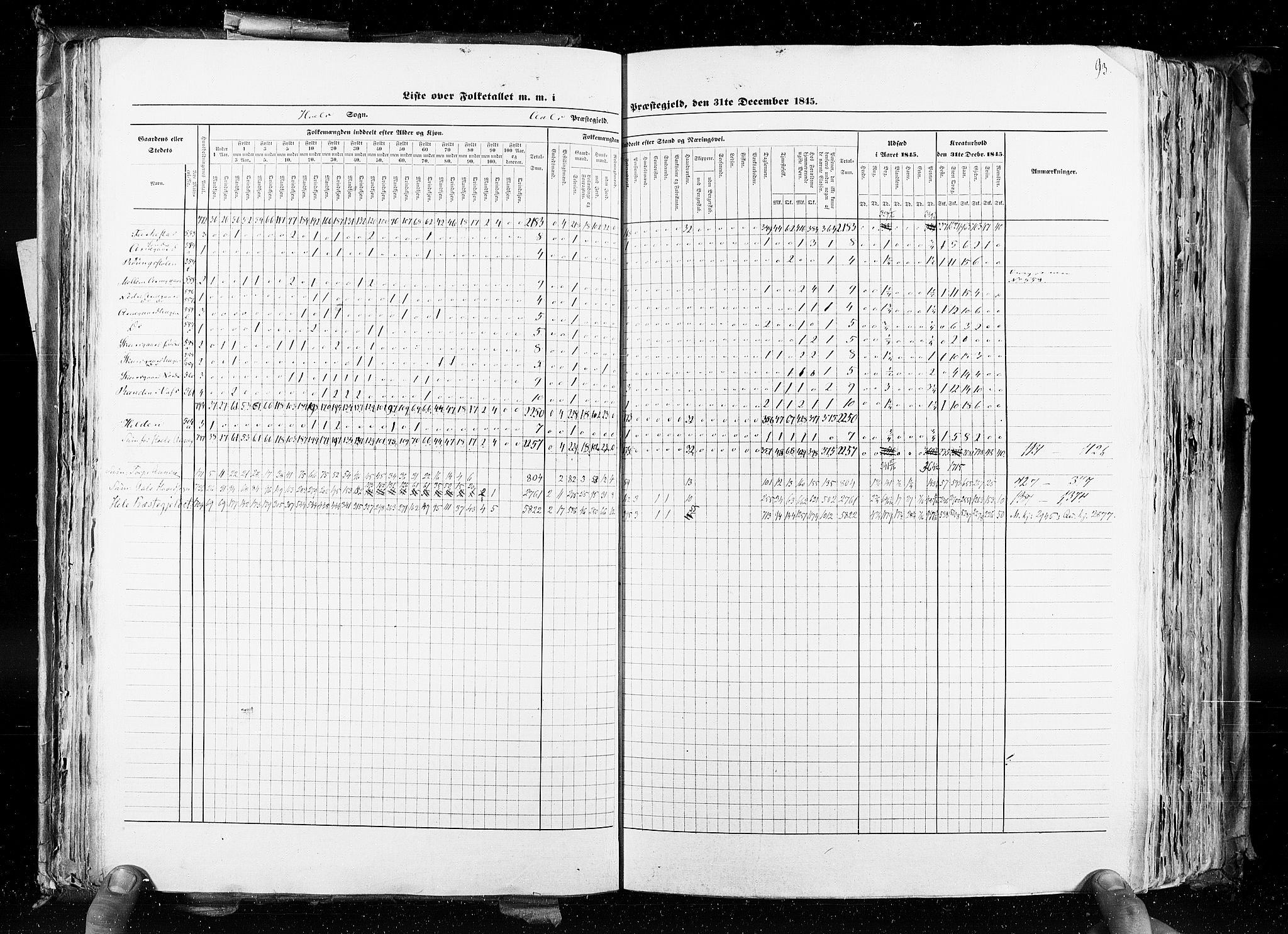 RA, Census 1845, vol. 4: Buskerud amt og Jarlsberg og Larvik amt, 1845, p. 93