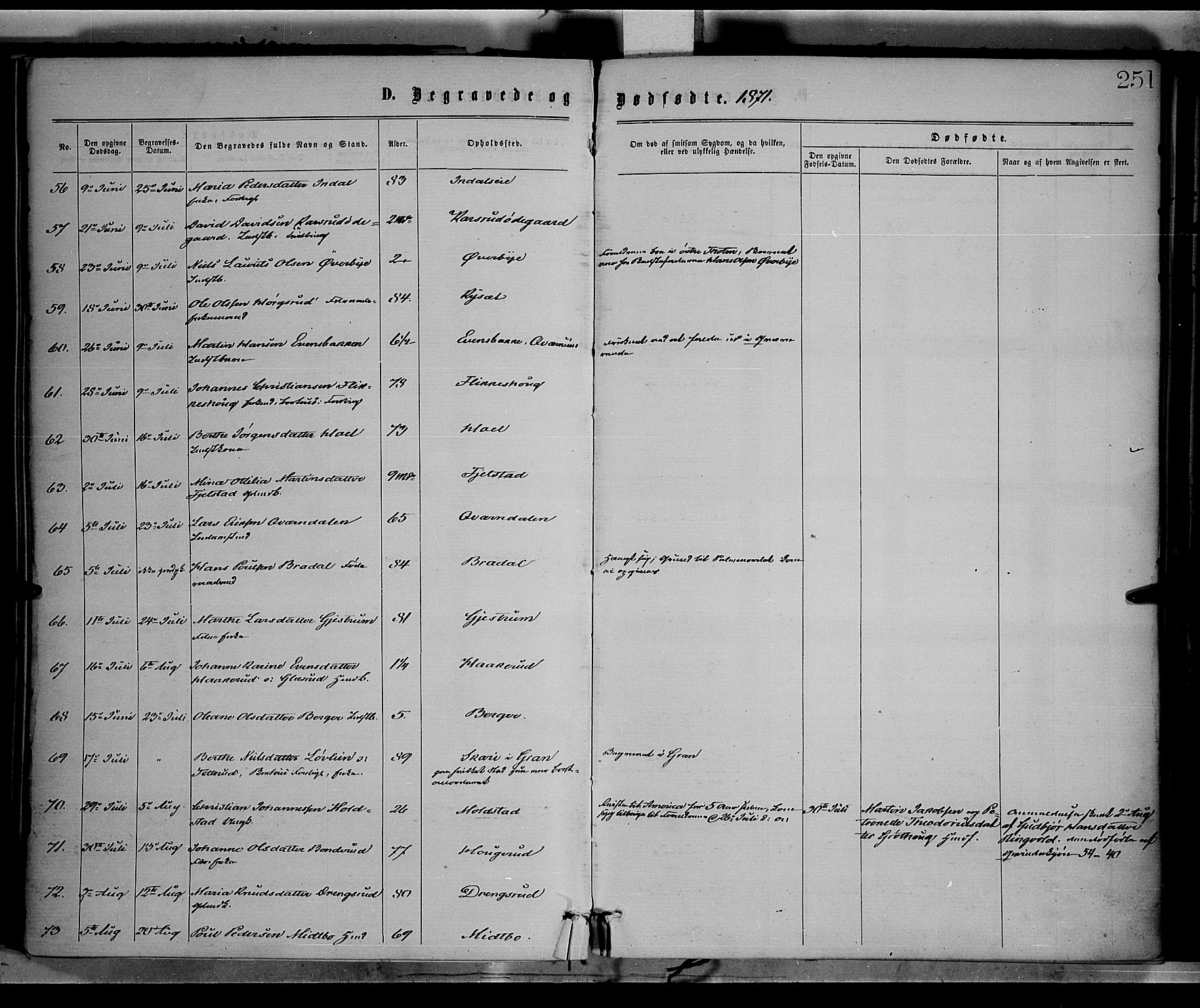 Vestre Toten prestekontor, AV/SAH-PREST-108/H/Ha/Haa/L0008: Parish register (official) no. 8, 1870-1877, p. 251