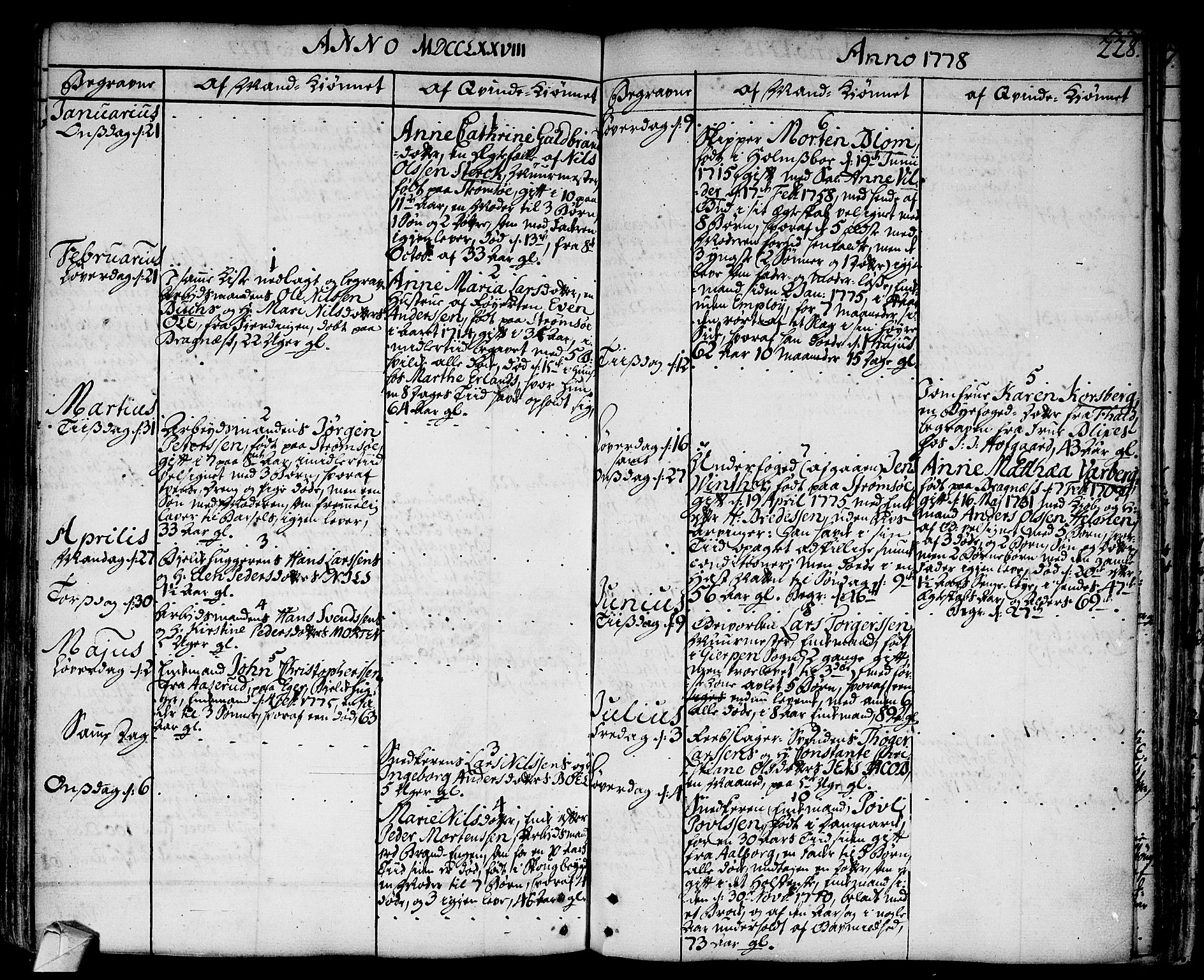 Strømsø kirkebøker, AV/SAKO-A-246/F/Fa/L0009: Parish register (official) no. I 9, 1752-1791, p. 228