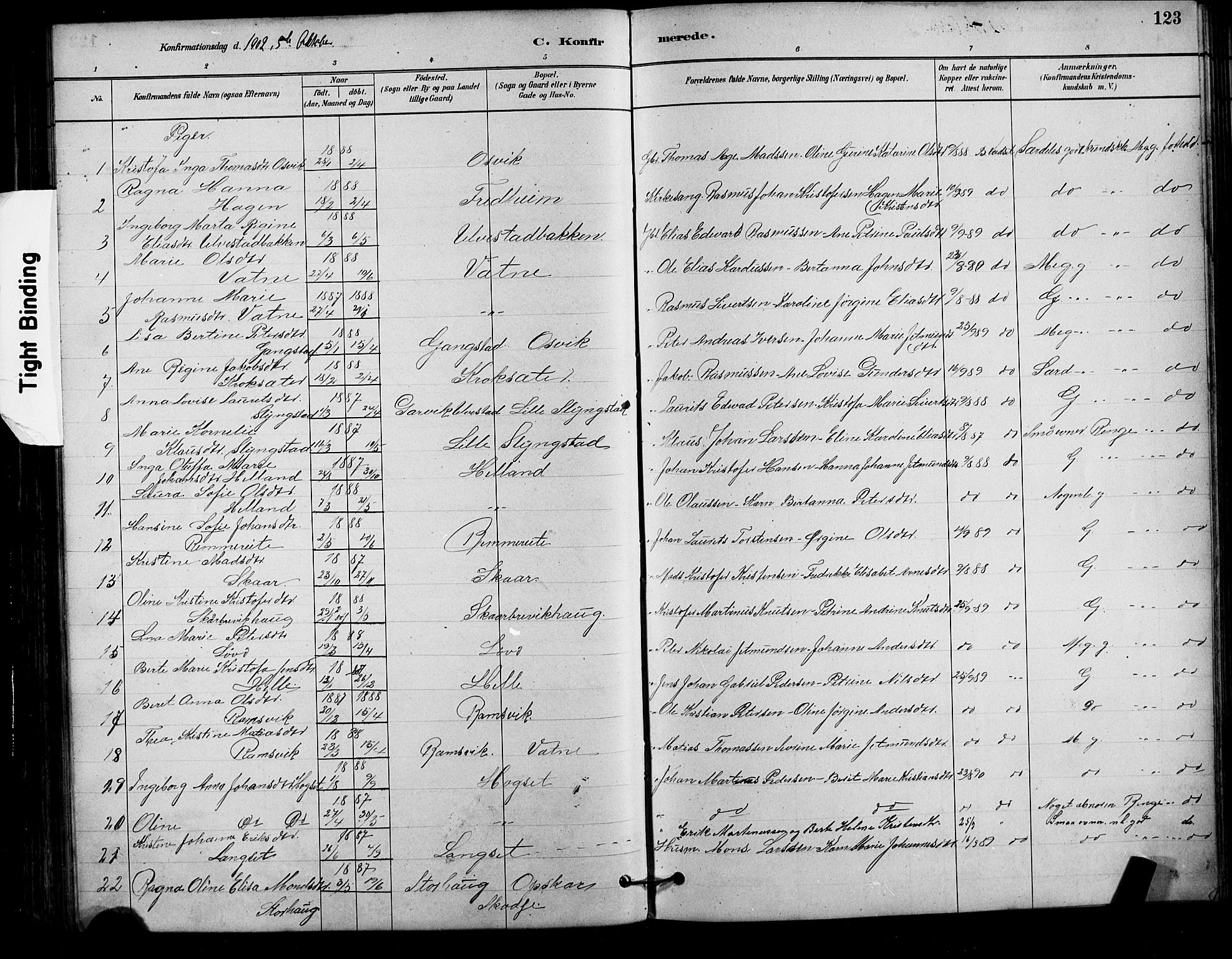 Ministerialprotokoller, klokkerbøker og fødselsregistre - Møre og Romsdal, AV/SAT-A-1454/525/L0376: Parish register (copy) no. 525C02, 1880-1902, p. 123