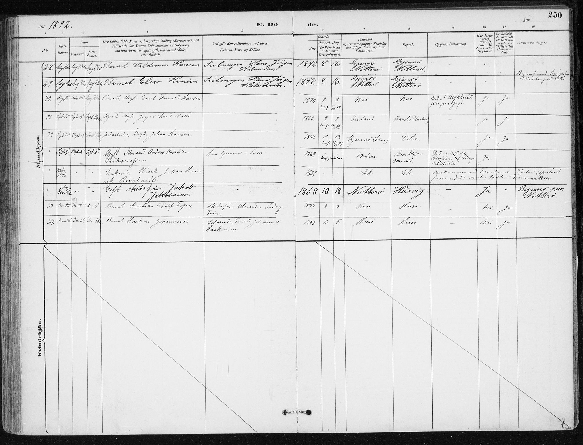 Sem kirkebøker, AV/SAKO-A-5/F/Fb/L0005: Parish register (official) no. II 5, 1892-1904, p. 250