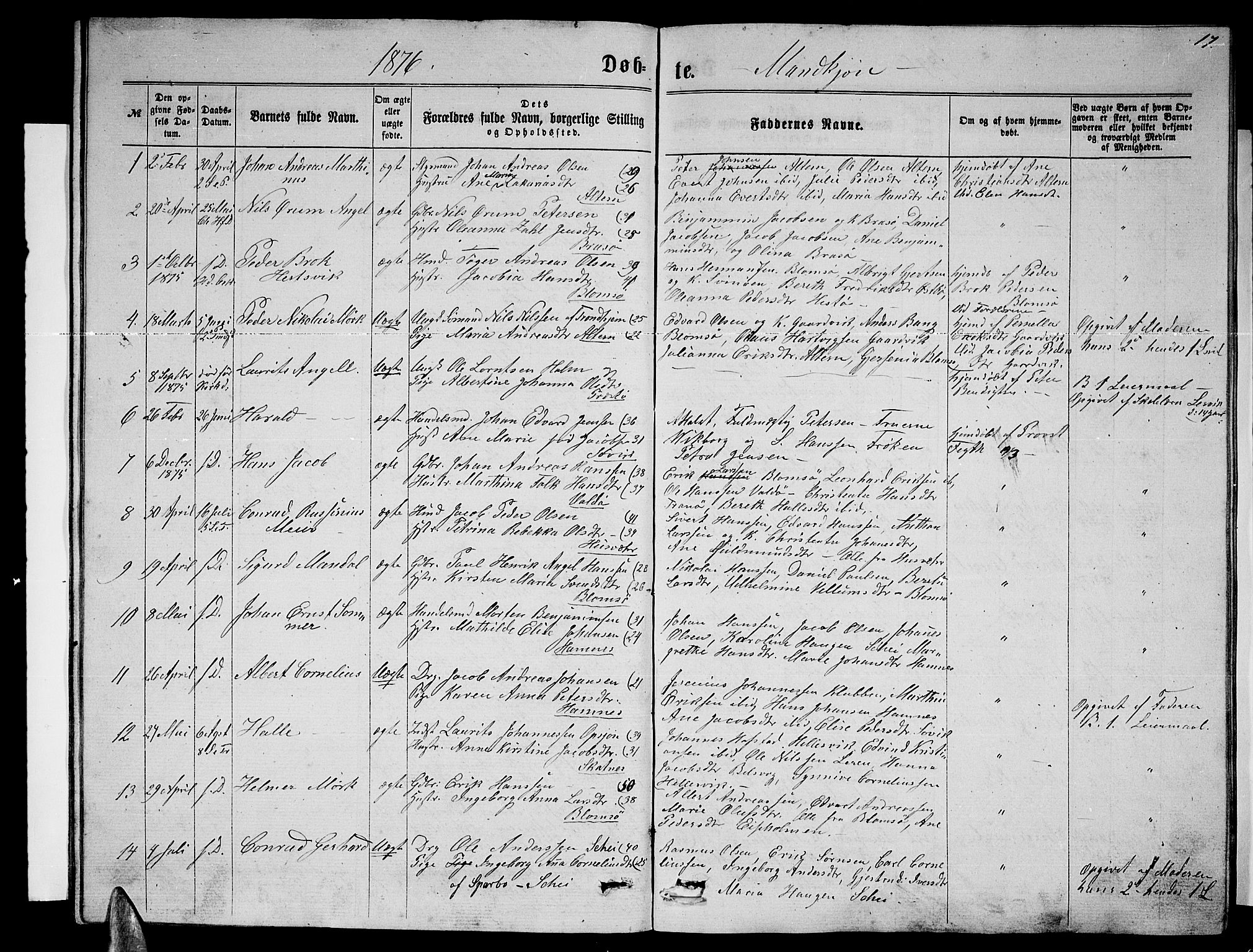 Ministerialprotokoller, klokkerbøker og fødselsregistre - Nordland, SAT/A-1459/830/L0461: Parish register (copy) no. 830C03, 1866-1881, p. 17