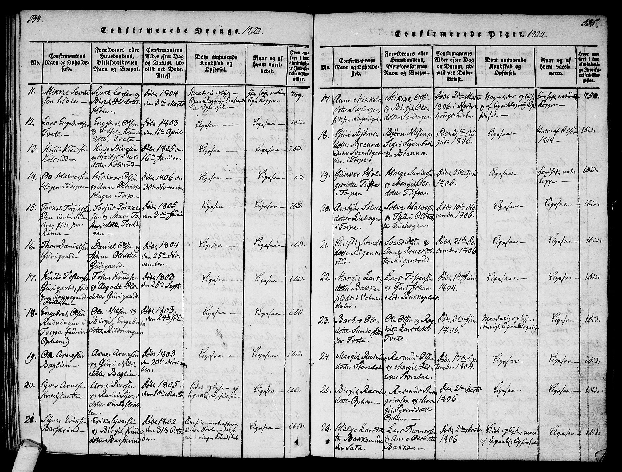 Ål kirkebøker, AV/SAKO-A-249/F/Fa/L0004: Parish register (official) no. I 4, 1815-1825, p. 534-535