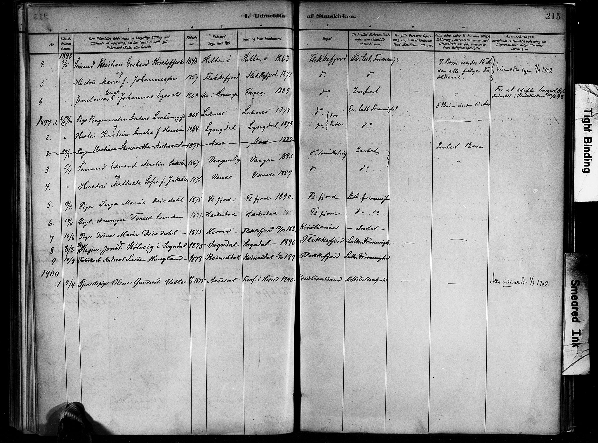 Flekkefjord sokneprestkontor, SAK/1111-0012/F/Fa/Faa/L0001: Parish register (official) no. A 1, 1885-1900, p. 215