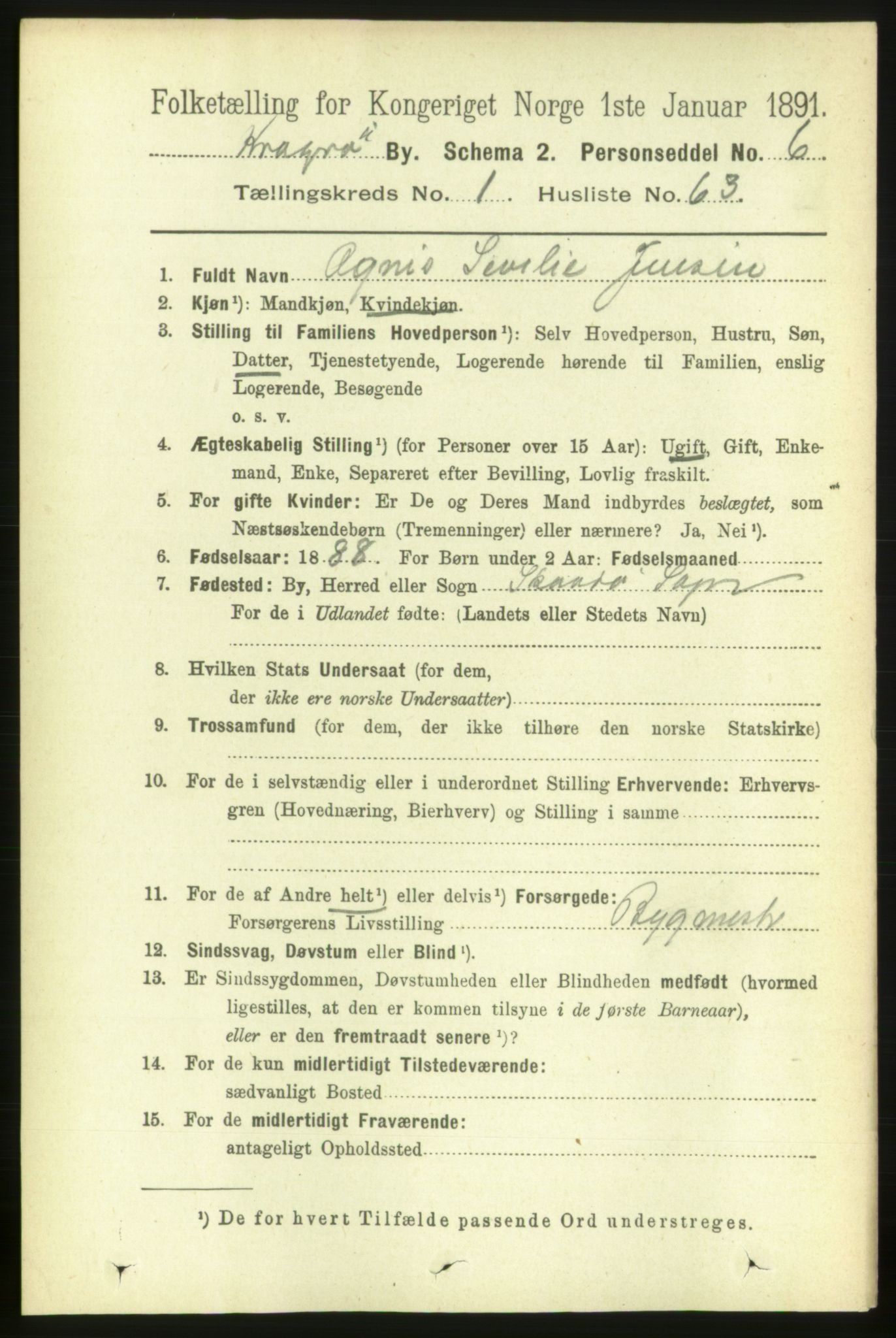 RA, 1891 census for 0801 Kragerø, 1891, p. 2206