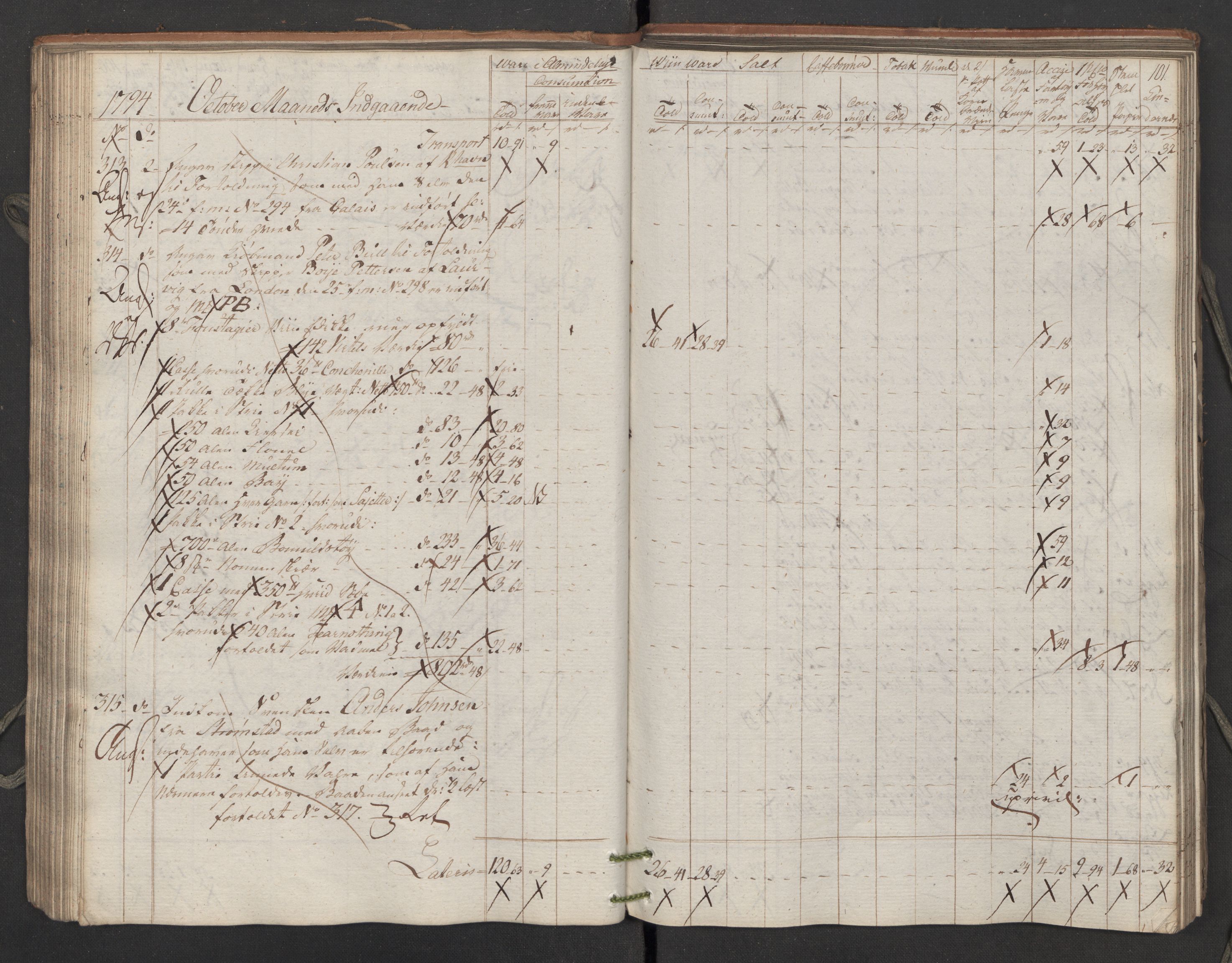 Generaltollkammeret, tollregnskaper, AV/RA-EA-5490/R02/L0115/0001: Tollregnskaper Fredrikstad / Inngående tollbok, 1794, p. 100b-101a