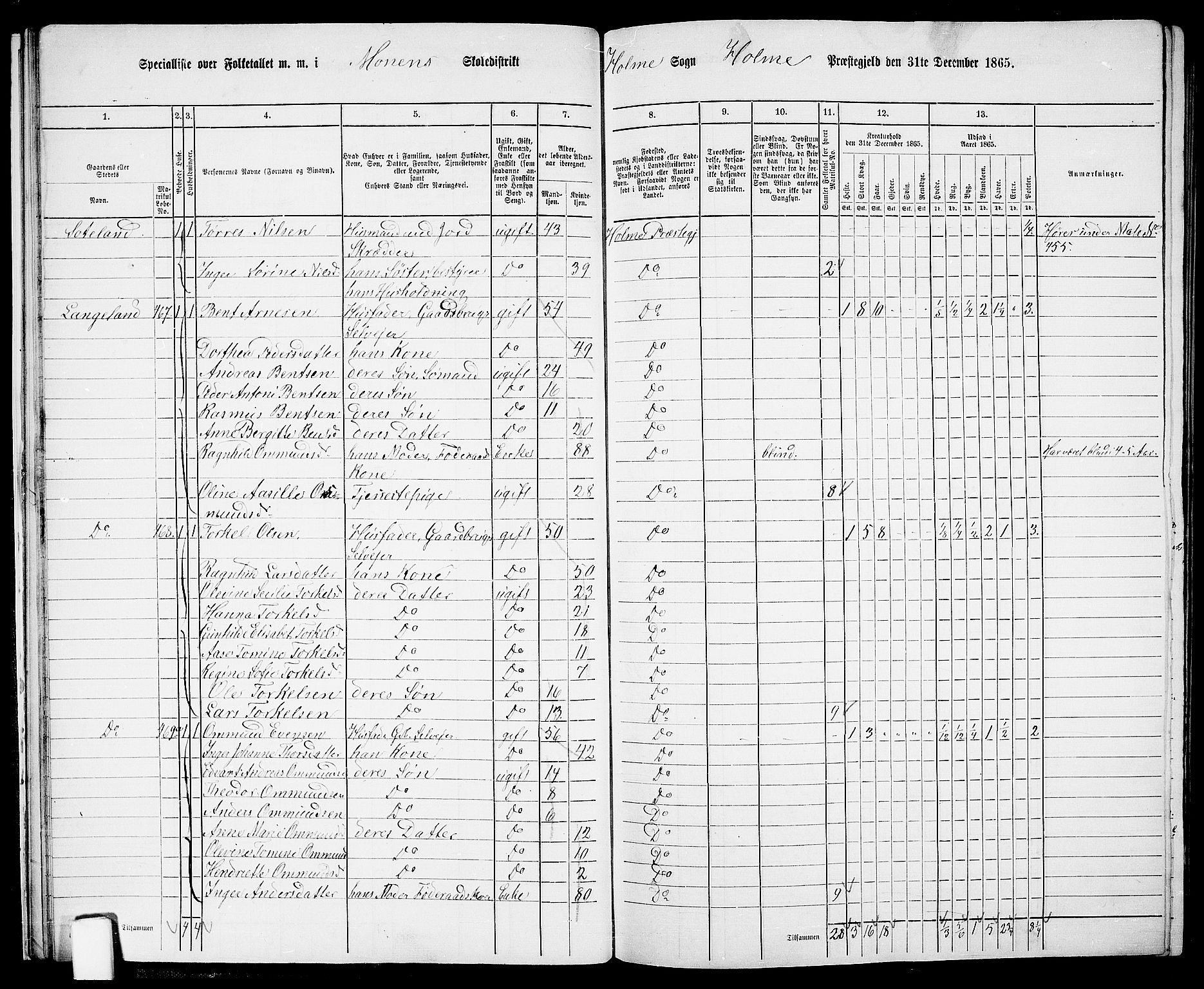 RA, 1865 census for Holum, 1865, p. 25