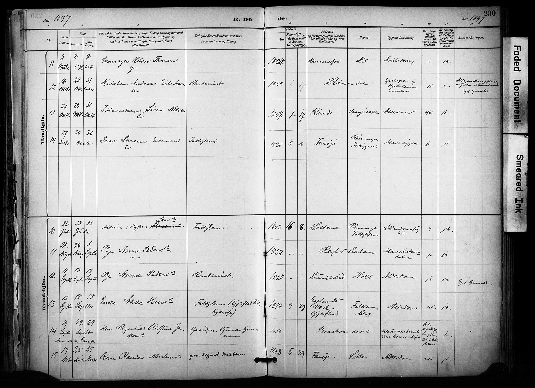 Sannidal kirkebøker, AV/SAKO-A-296/F/Fa/L0015: Parish register (official) no. 15, 1884-1899, p. 230