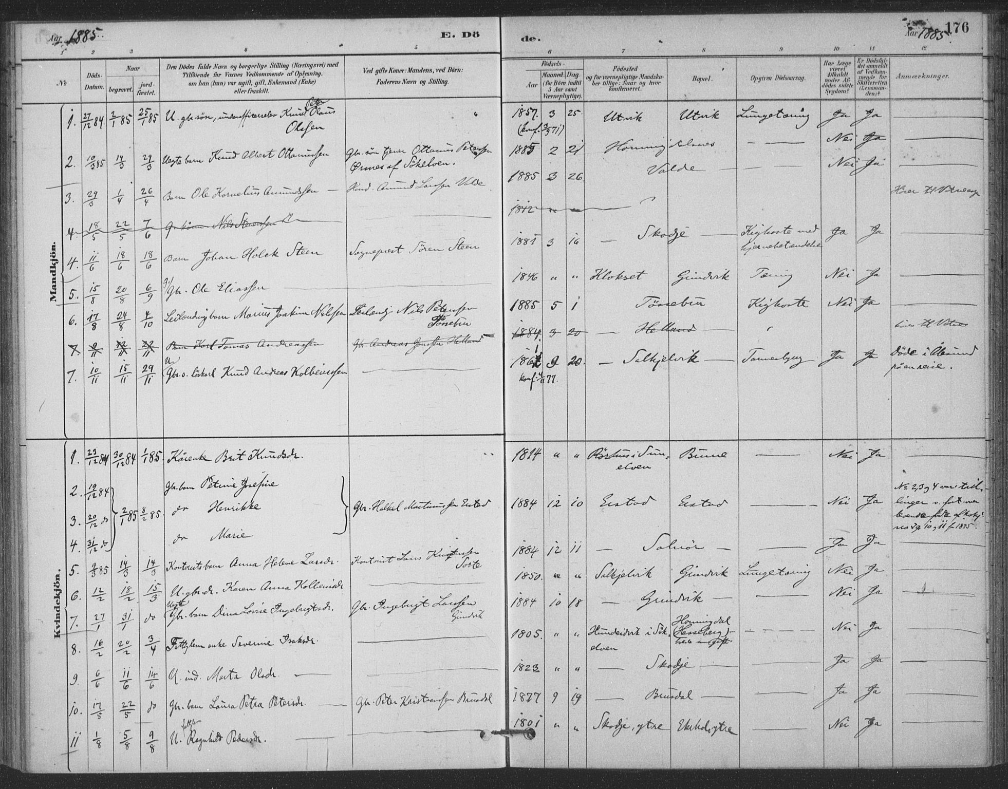 Ministerialprotokoller, klokkerbøker og fødselsregistre - Møre og Romsdal, AV/SAT-A-1454/524/L0356: Parish register (official) no. 524A08, 1880-1899, p. 176