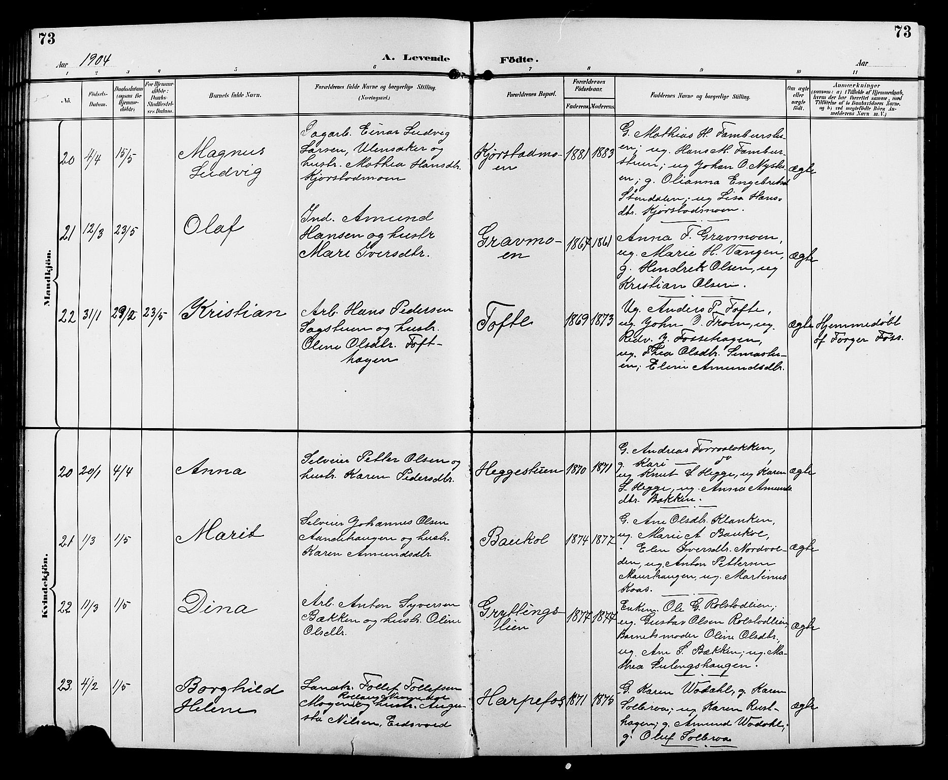 Sør-Fron prestekontor, AV/SAH-PREST-010/H/Ha/Hab/L0004: Parish register (copy) no. 4, 1896-1911, p. 73