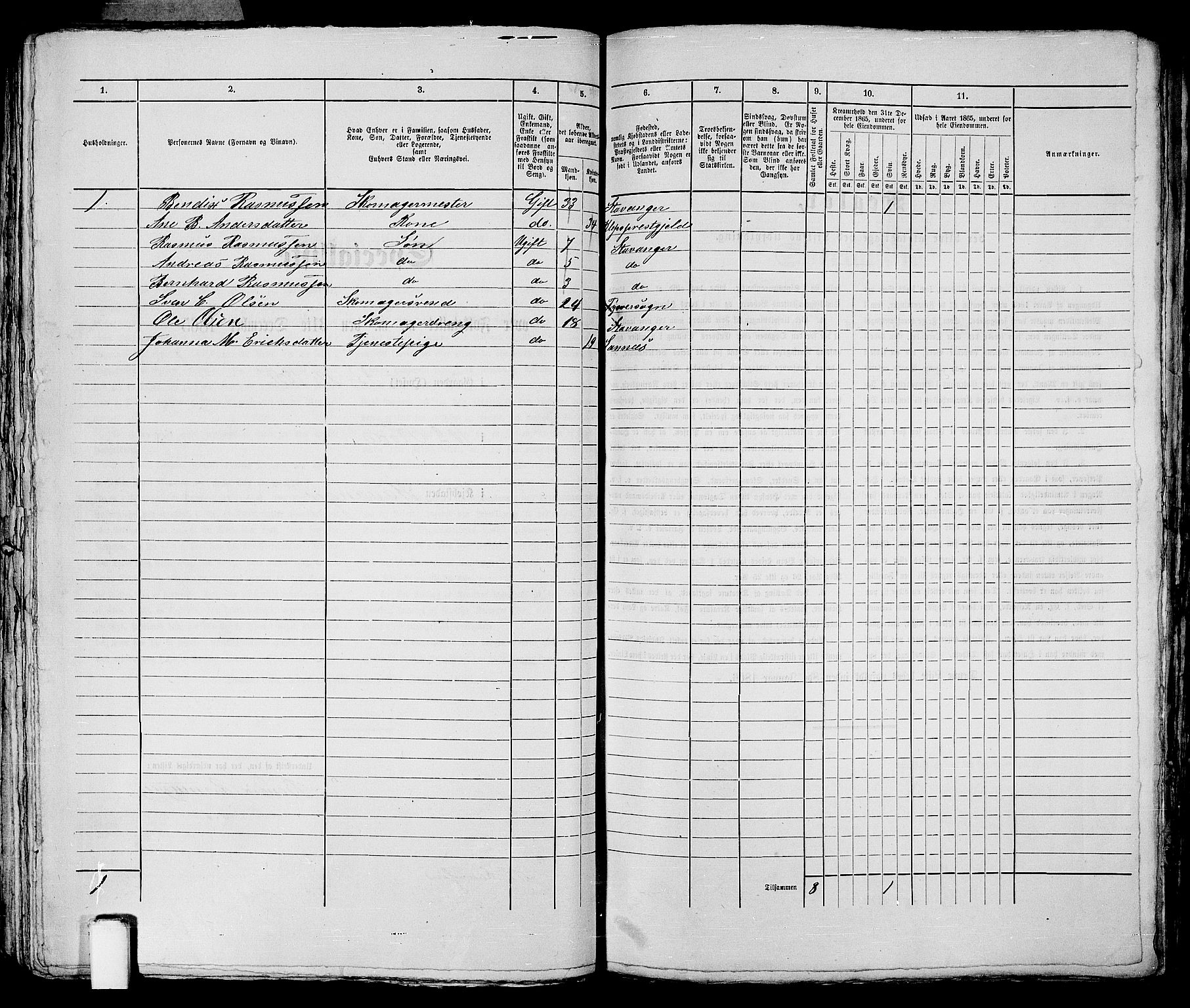 RA, 1865 census for Stavanger, 1865, p. 2693