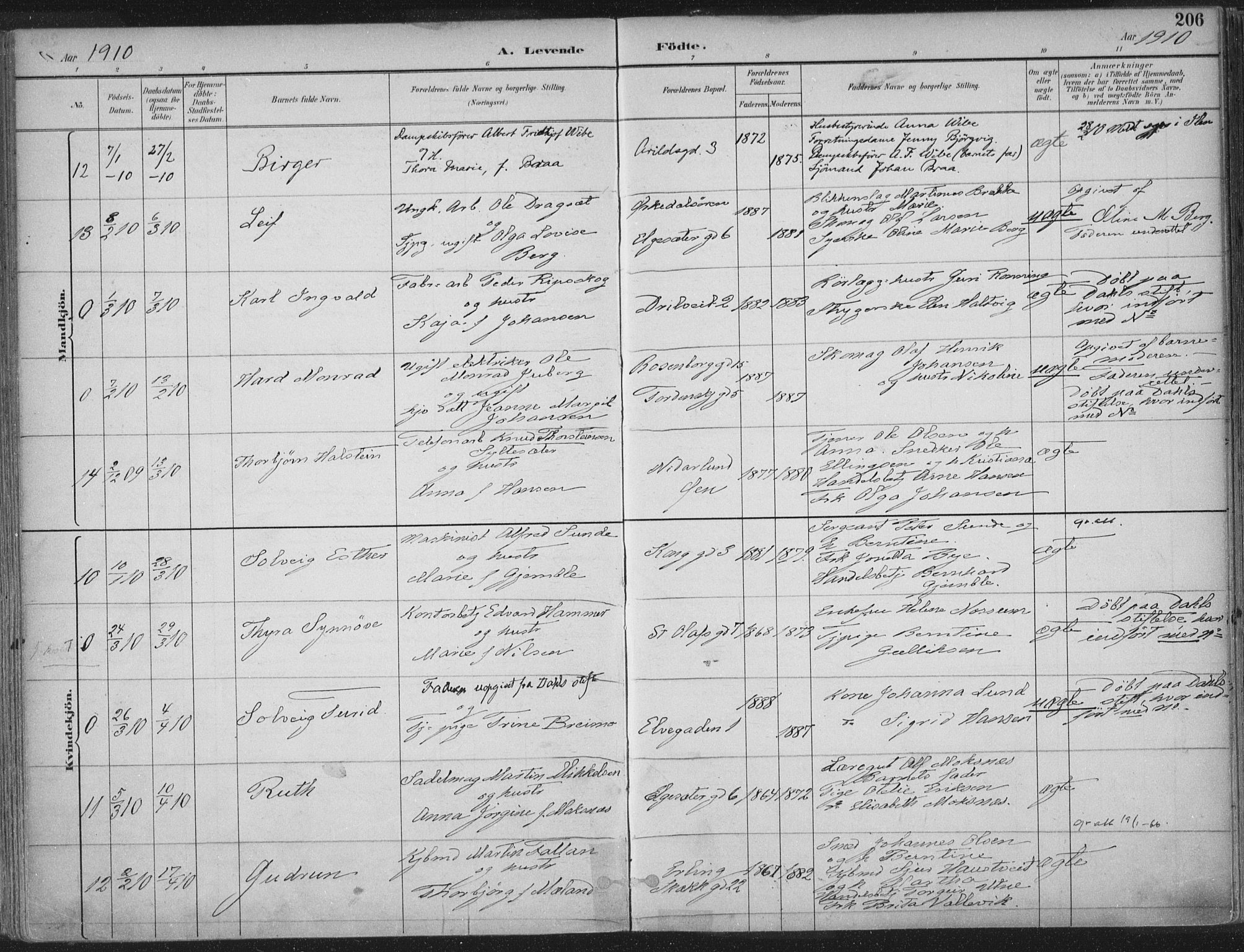 Ministerialprotokoller, klokkerbøker og fødselsregistre - Sør-Trøndelag, AV/SAT-A-1456/601/L0062: Parish register (official) no. 601A30, 1891-1911, p. 206