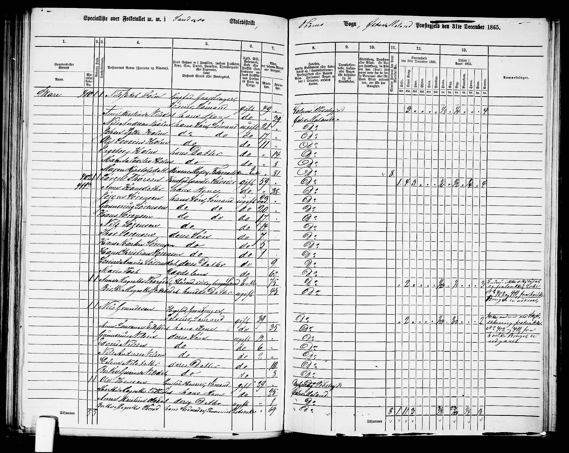 RA, 1865 census for Austre Moland, 1865, p. 192