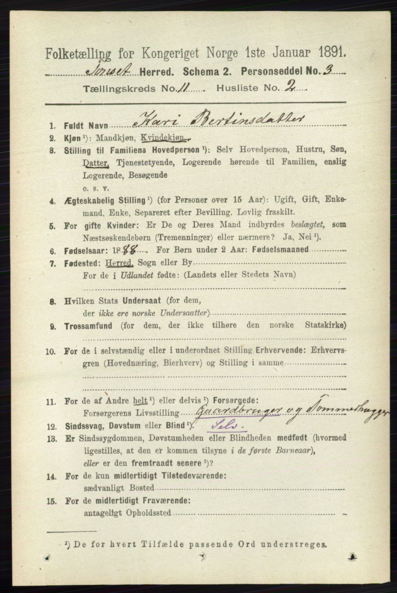 RA, 1891 census for 0437 Tynset, 1891, p. 3016