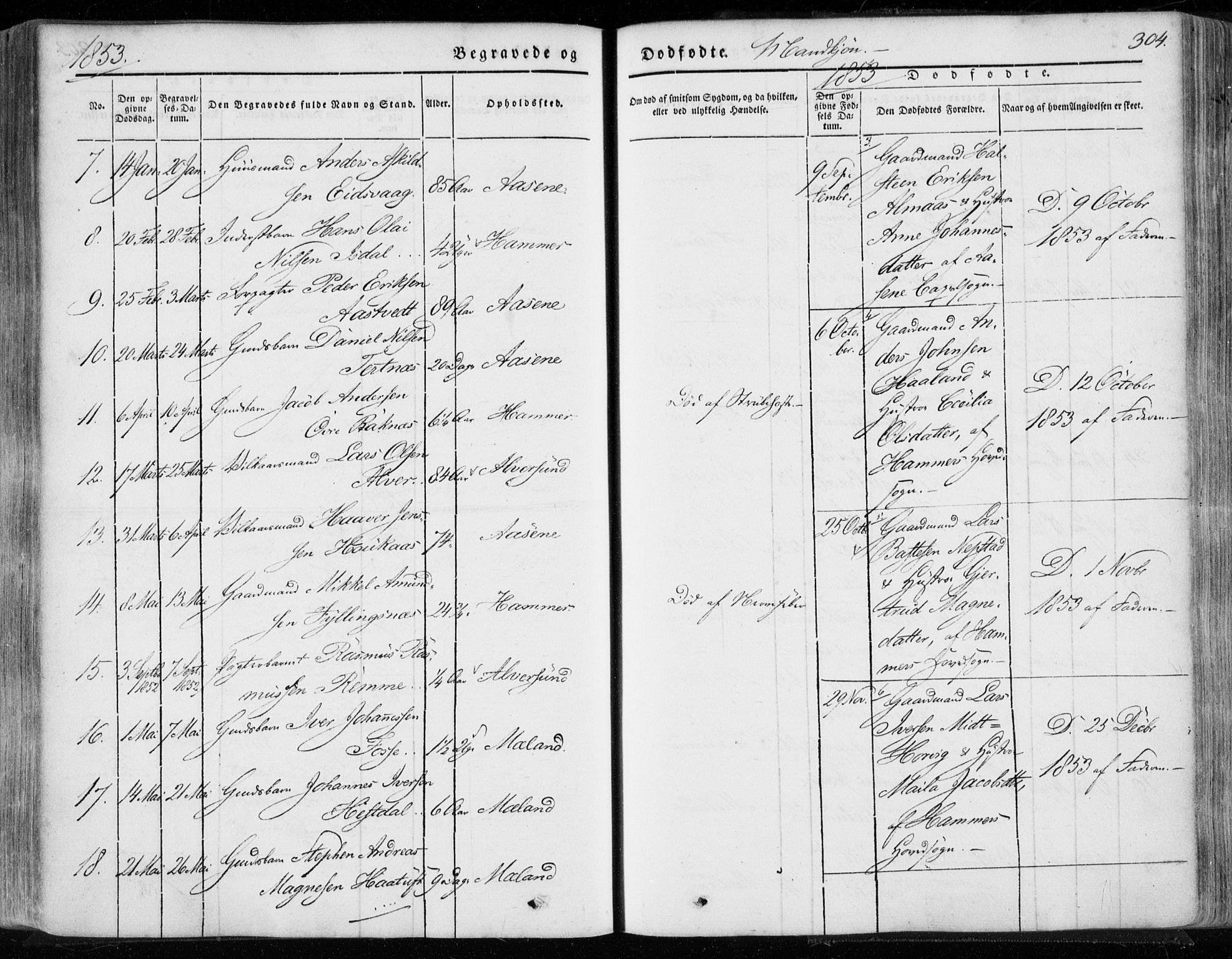 Hamre sokneprestembete, AV/SAB-A-75501/H/Ha/Haa/Haaa/L0013: Parish register (official) no. A 13, 1846-1857, p. 304