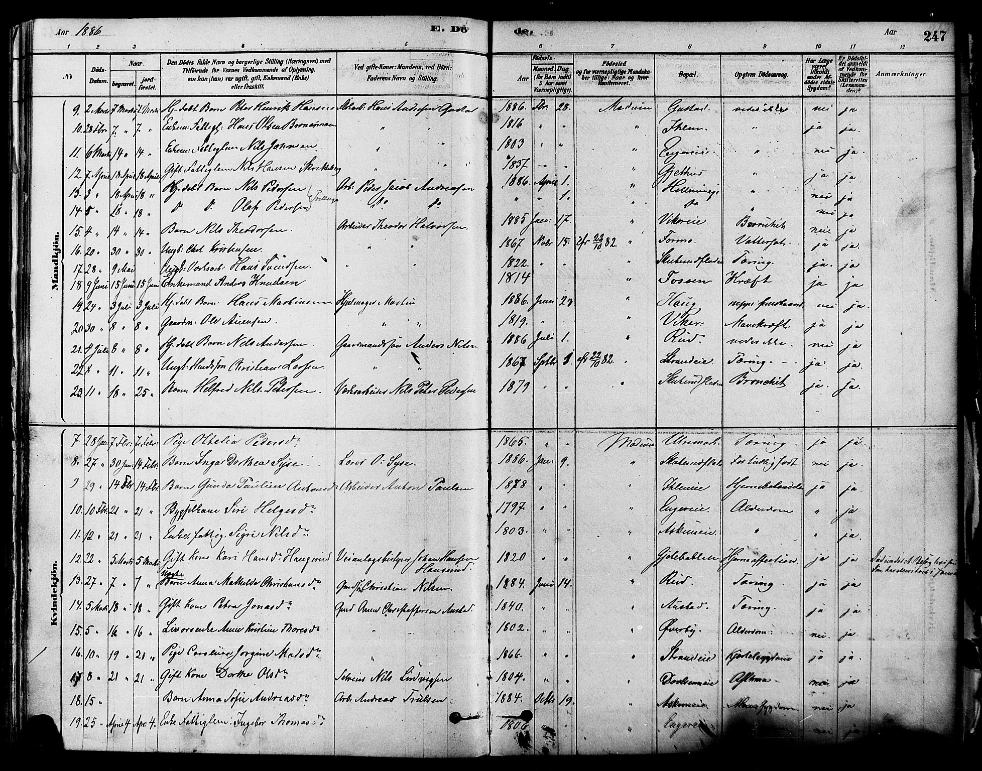 Modum kirkebøker, AV/SAKO-A-234/F/Fa/L0011: Parish register (official) no. 11, 1877-1889, p. 247