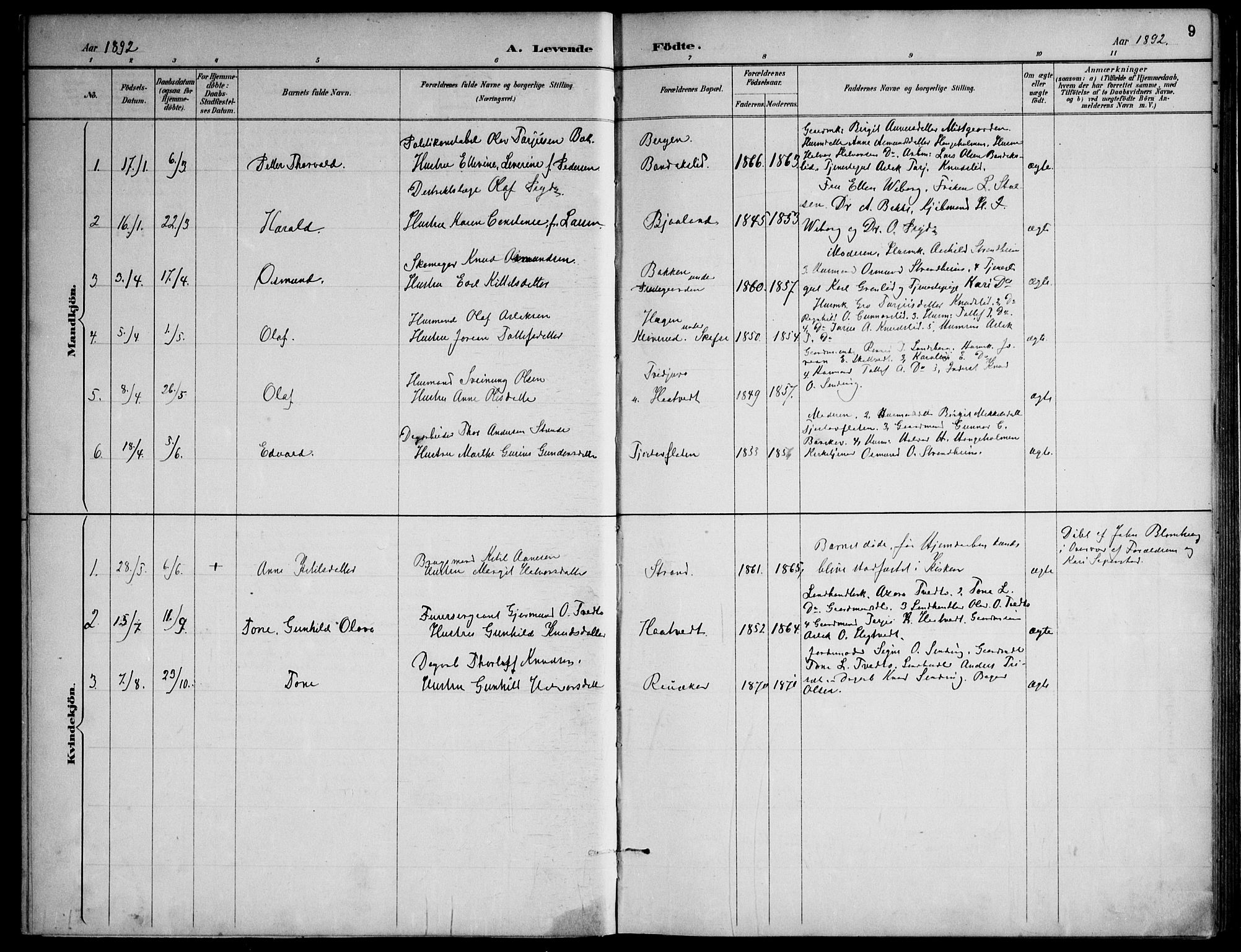 Lårdal kirkebøker, SAKO/A-284/F/Fa/L0007: Parish register (official) no. I 7, 1887-1906, p. 9