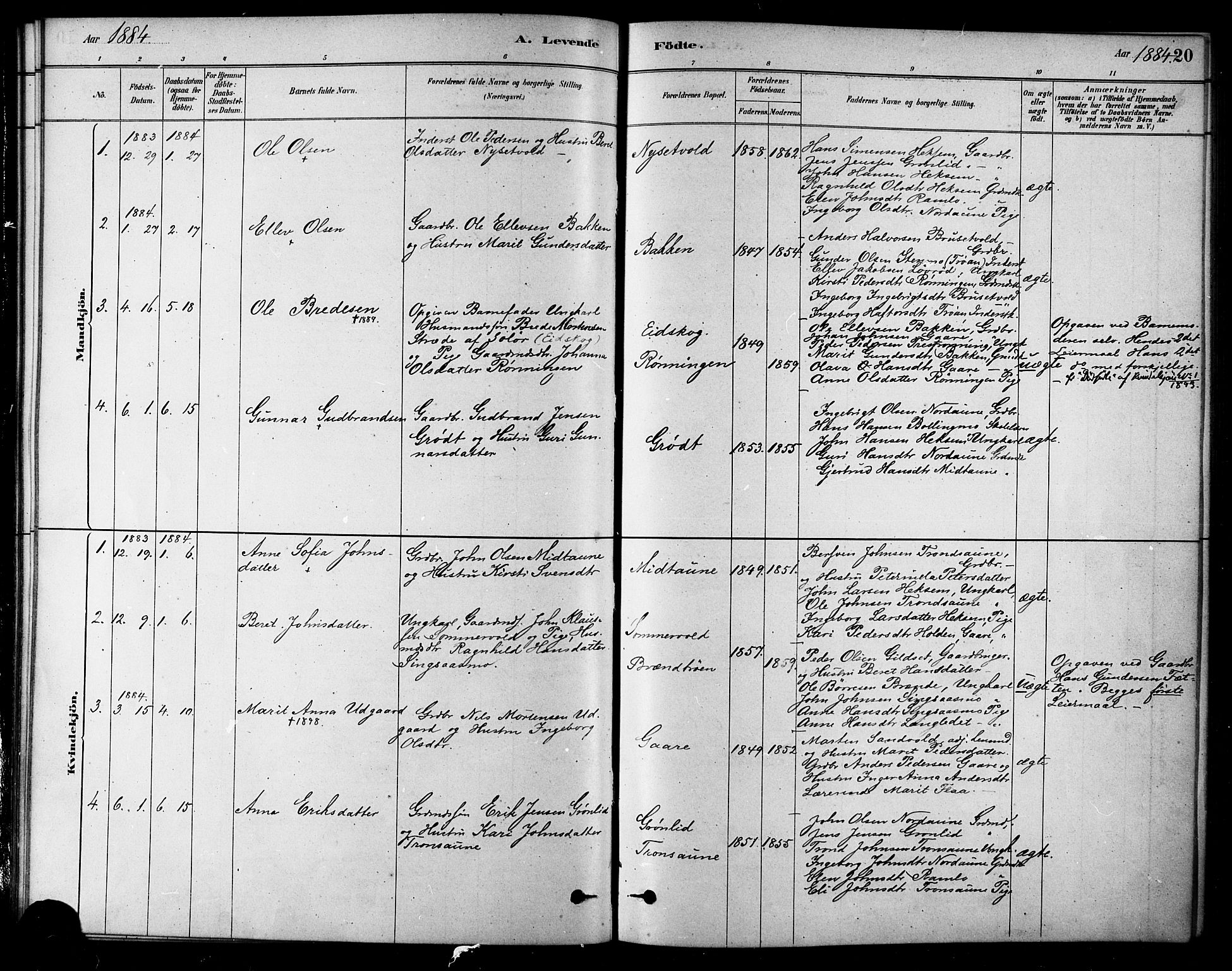 Ministerialprotokoller, klokkerbøker og fødselsregistre - Sør-Trøndelag, SAT/A-1456/685/L0972: Parish register (official) no. 685A09, 1879-1890, p. 20