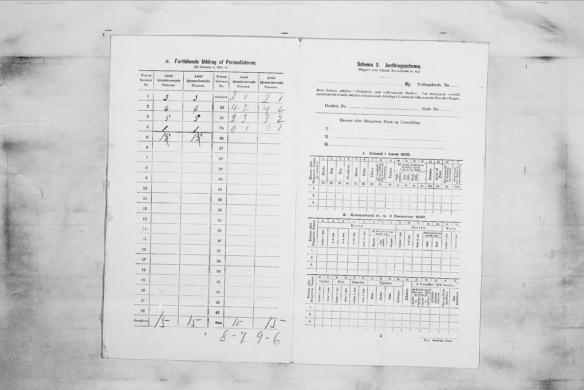 RA, 1900 census for Sandefjord, 1900, p. 2398