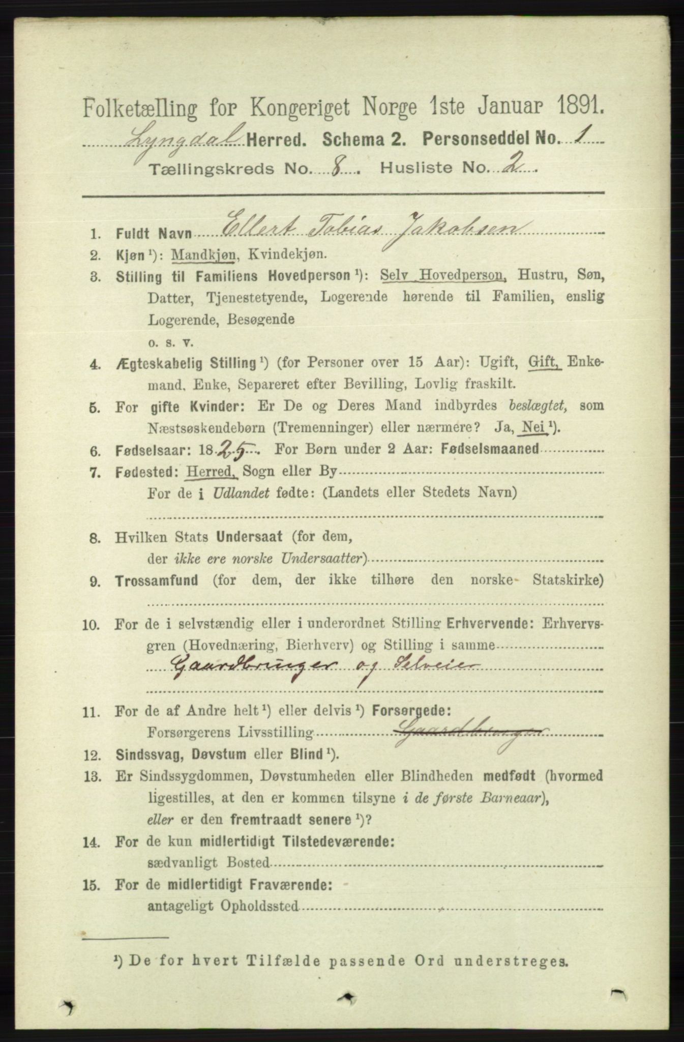 RA, 1891 census for 1032 Lyngdal, 1891, p. 3379