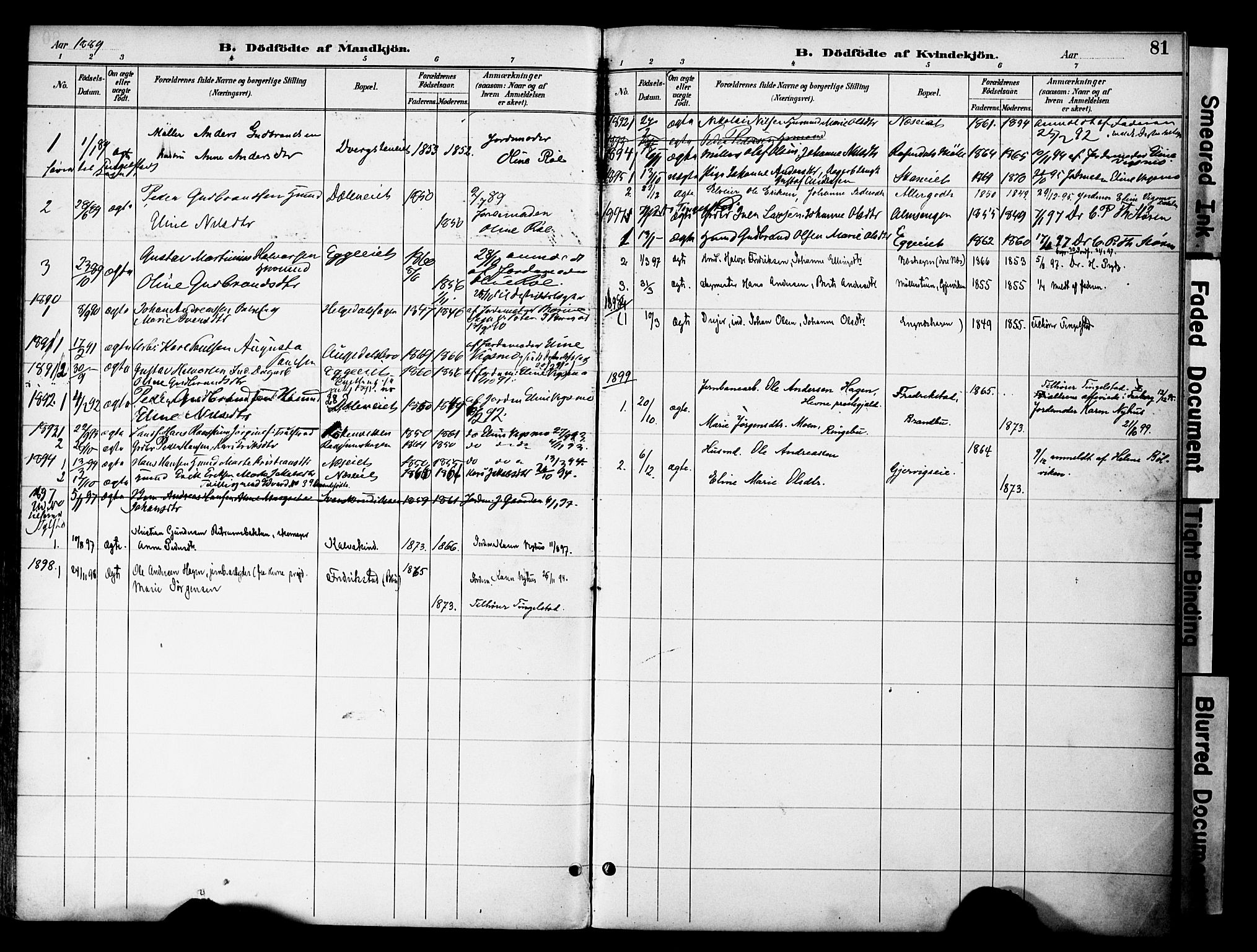 Gran prestekontor, SAH/PREST-112/H/Ha/Haa/L0020: Parish register (official) no. 20, 1889-1899, p. 81