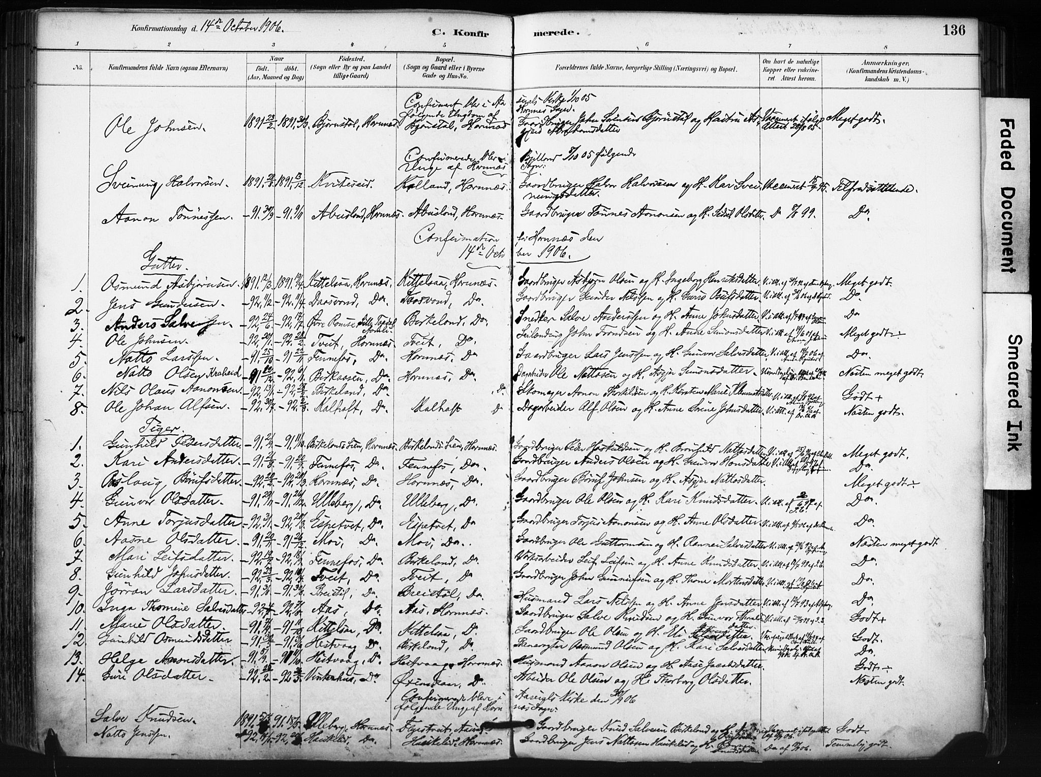 Evje sokneprestkontor, SAK/1111-0008/F/Fa/Fab/L0003: Parish register (official) no. A 3, 1884-1909, p. 136