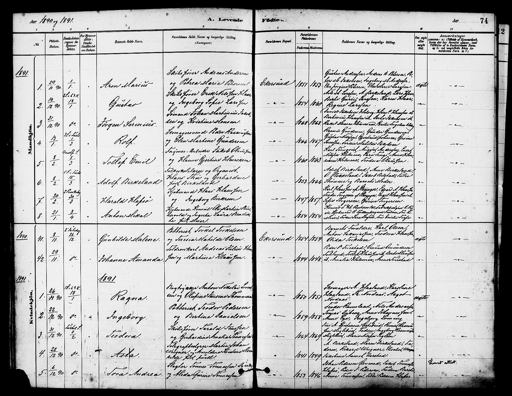 Eigersund sokneprestkontor, SAST/A-101807/S08/L0015: Parish register (official) no. A 15, 1879-1892, p. 74