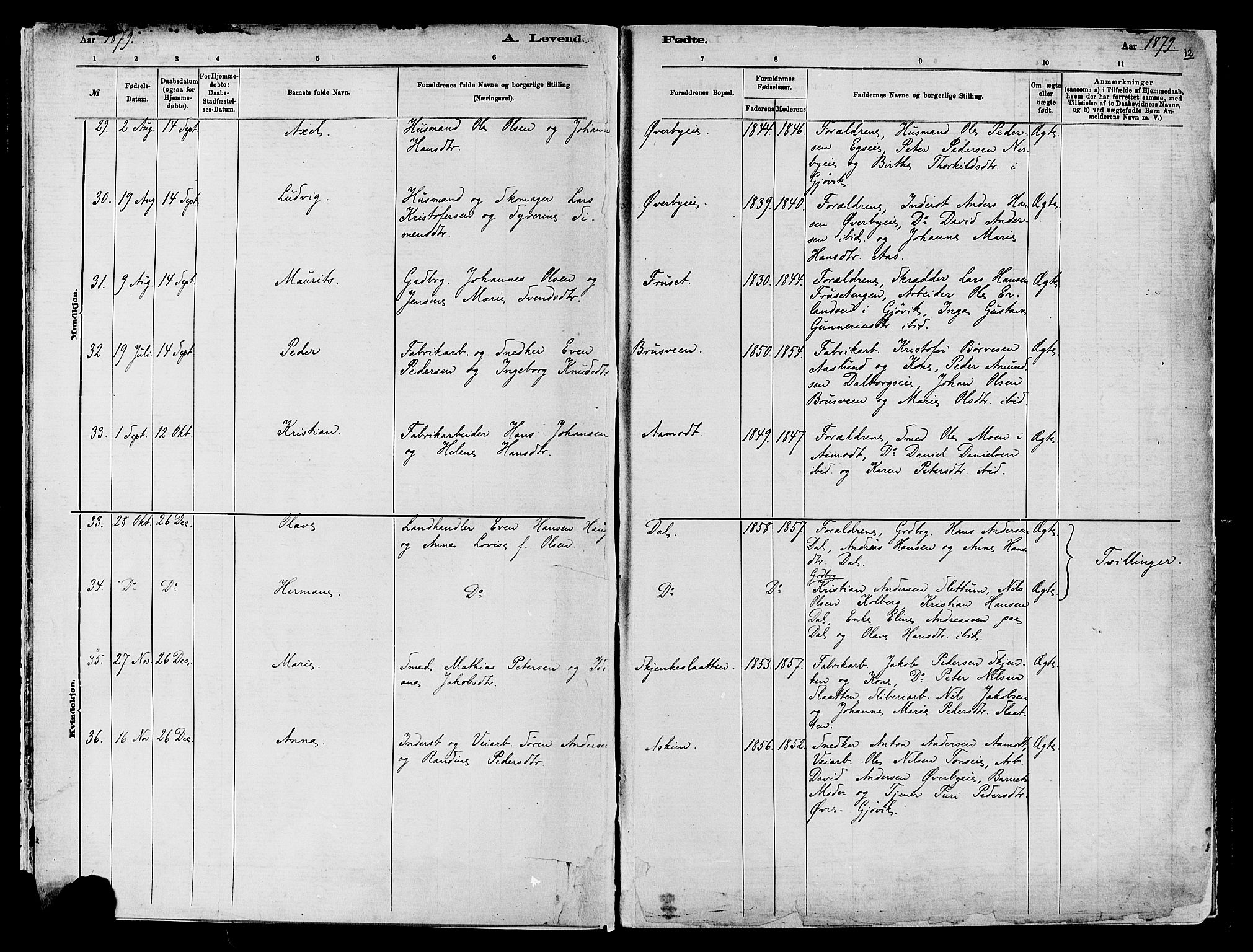 Vardal prestekontor, SAH/PREST-100/H/Ha/Haa/L0009: Parish register (official) no. 9, 1878-1892, p. 12