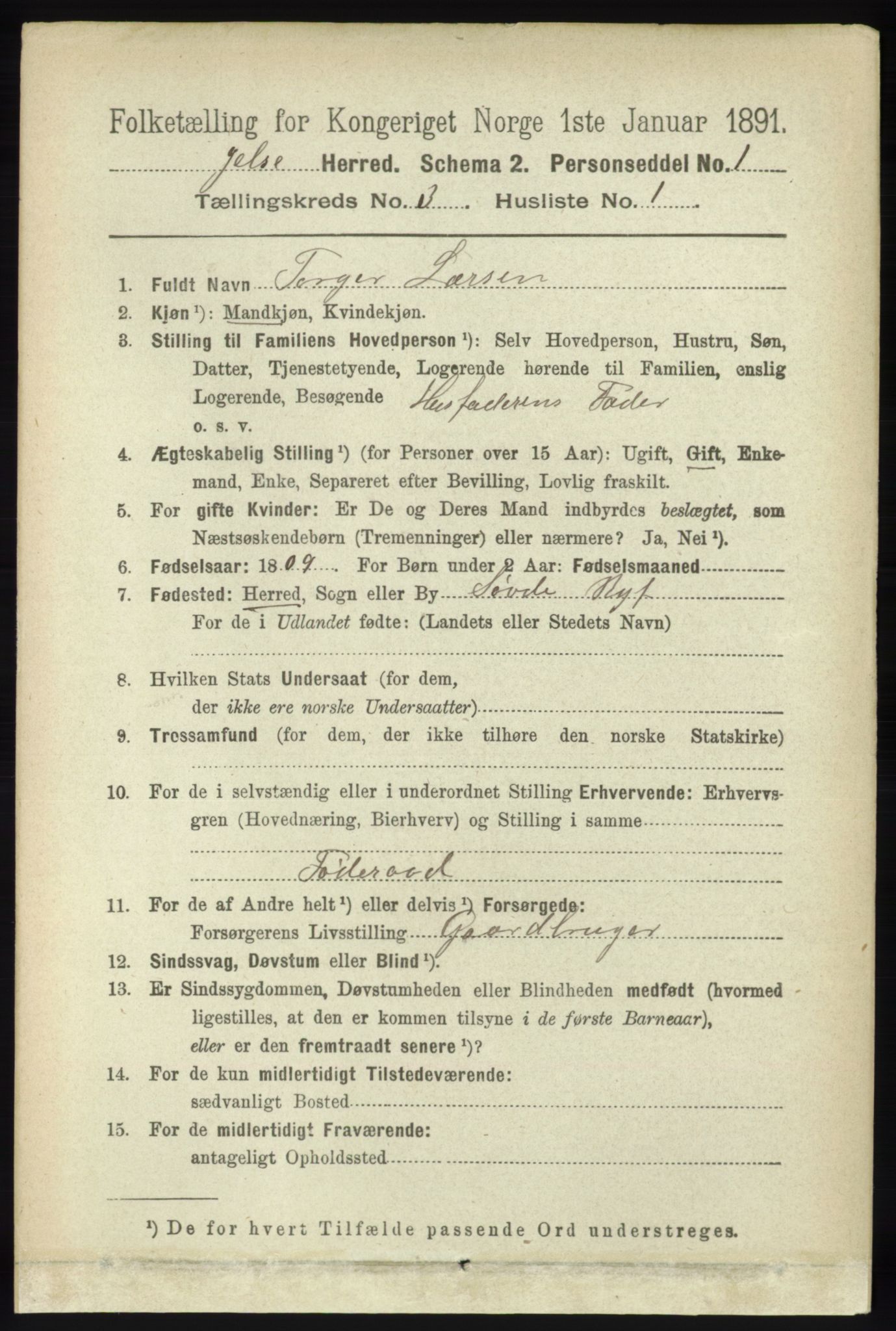 RA, 1891 census for 1138 Jelsa, 1891, p. 377