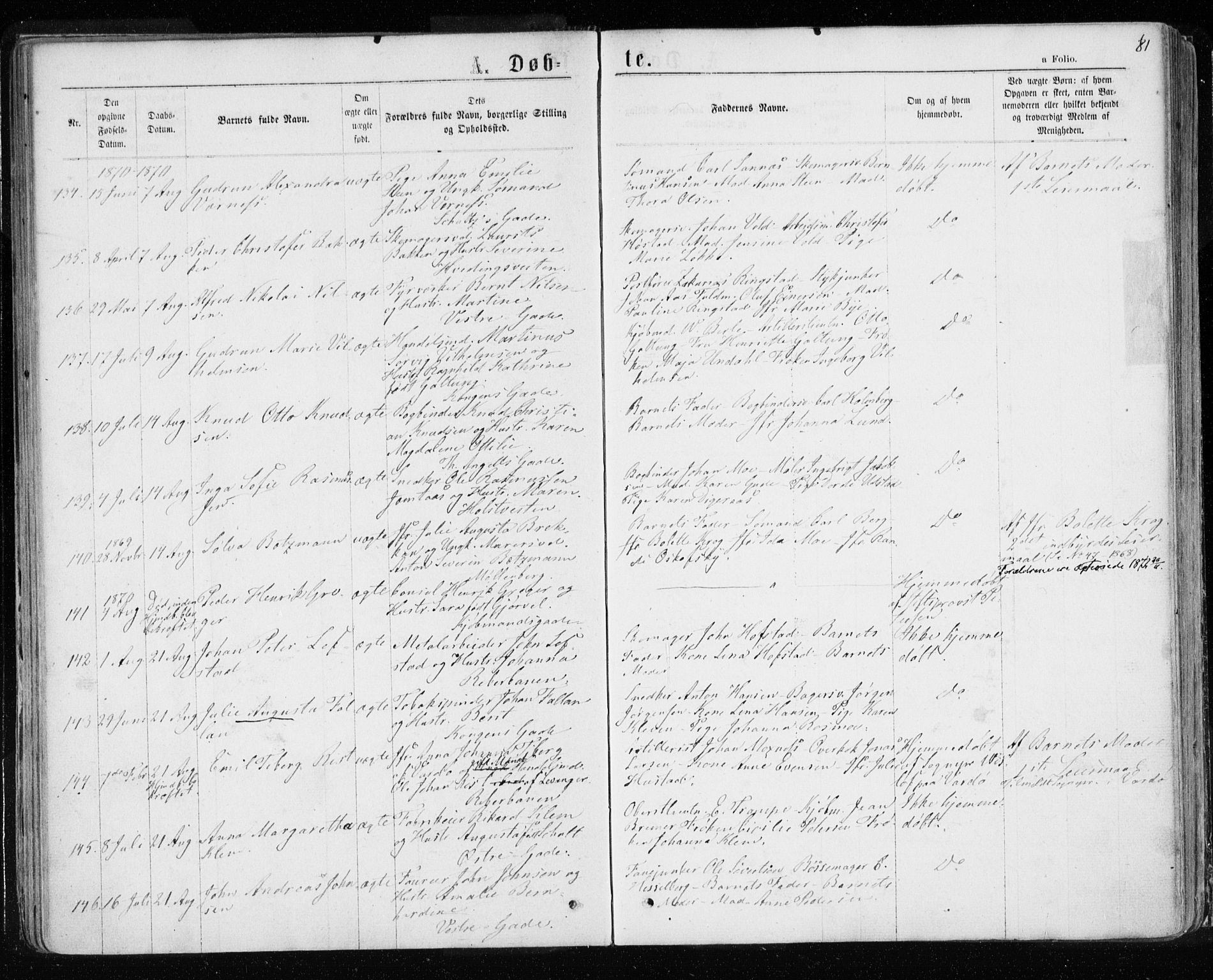 Ministerialprotokoller, klokkerbøker og fødselsregistre - Sør-Trøndelag, AV/SAT-A-1456/601/L0054: Parish register (official) no. 601A22, 1866-1877, p. 81