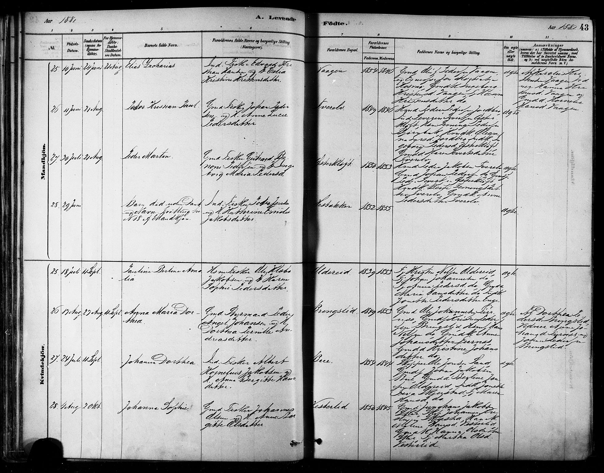 Ministerialprotokoller, klokkerbøker og fødselsregistre - Nordland, AV/SAT-A-1459/852/L0740: Parish register (official) no. 852A10, 1878-1894, p. 43