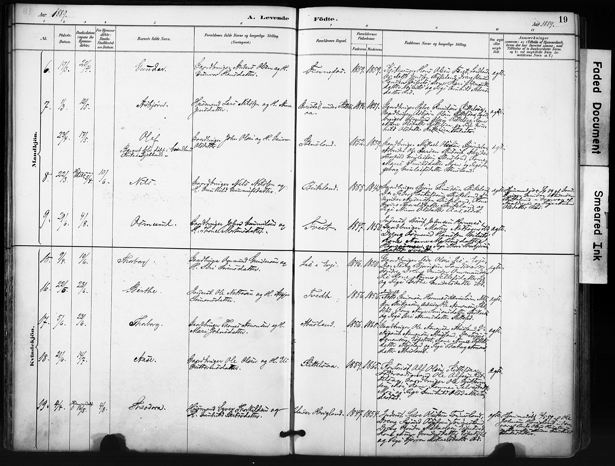 Evje sokneprestkontor, SAK/1111-0008/F/Fa/Fab/L0003: Parish register (official) no. A 3, 1884-1909, p. 19