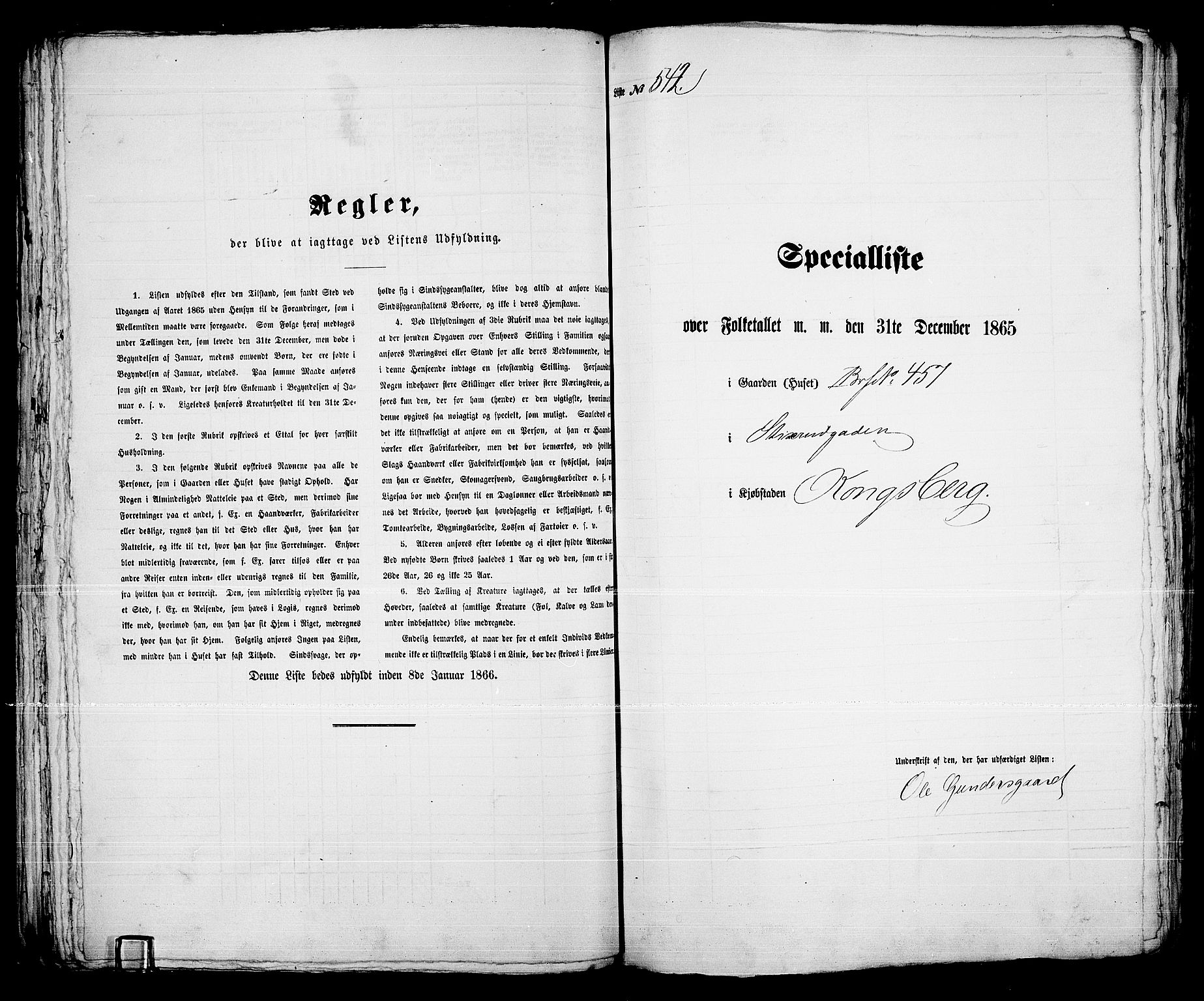 RA, 1865 census for Kongsberg/Kongsberg, 1865, p. 1096