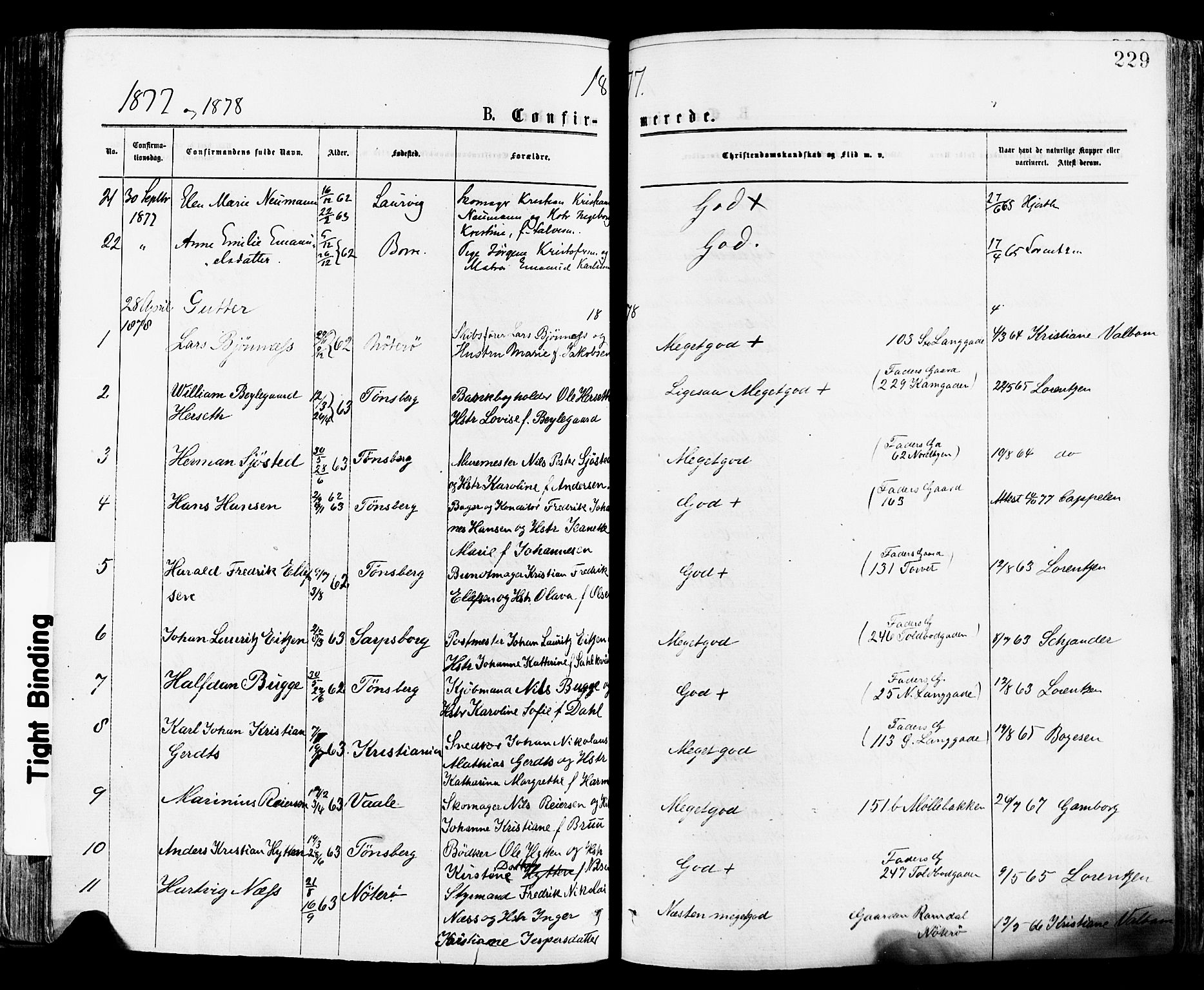 Tønsberg kirkebøker, AV/SAKO-A-330/F/Fa/L0010: Parish register (official) no. I 10, 1874-1880, p. 229