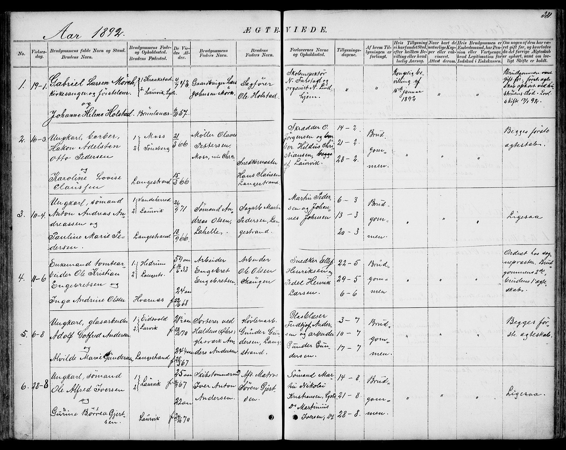 Larvik kirkebøker, AV/SAKO-A-352/G/Gb/L0003: Parish register (copy) no. II 3, 1867-1899, p. 381