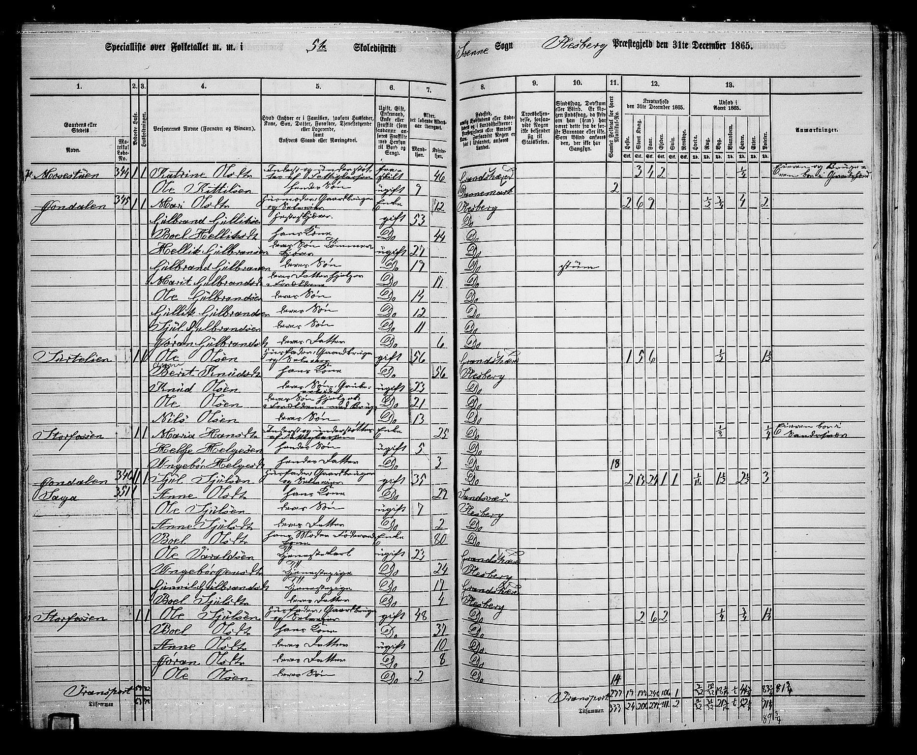 RA, 1865 census for Flesberg, 1865, p. 100