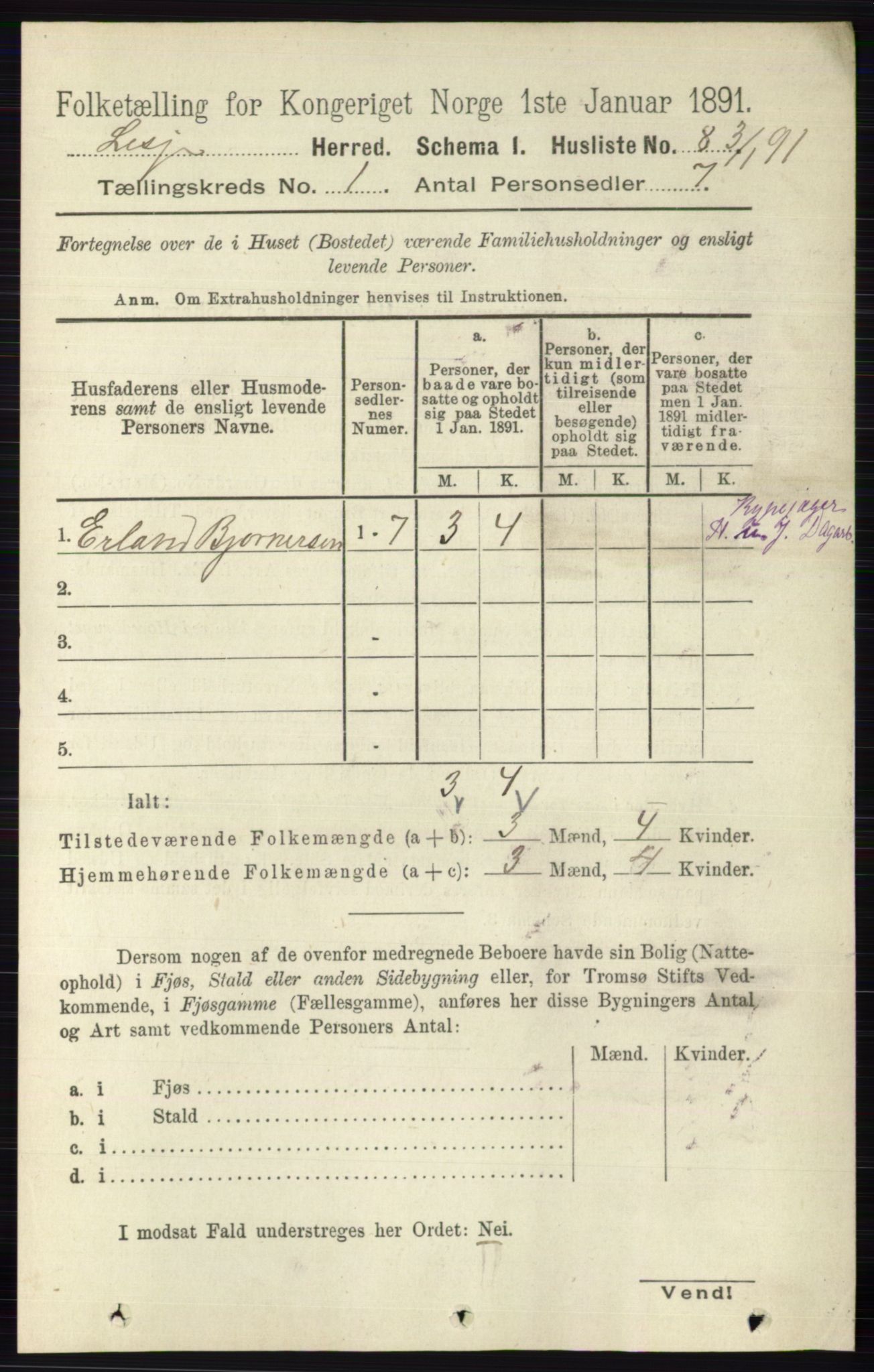 RA, 1891 census for 0512 Lesja, 1891, p. 30