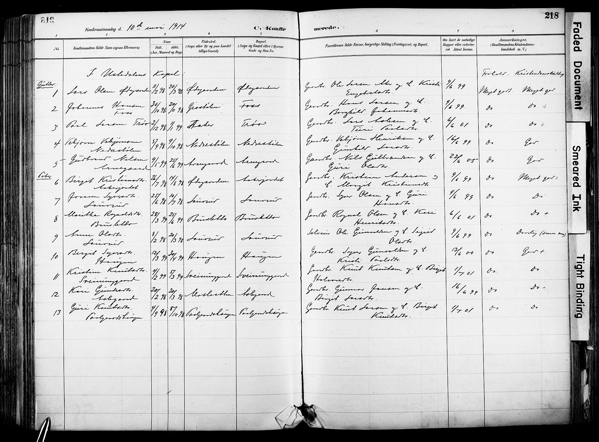 Hol kirkebøker, SAKO/A-227/F/Fa/L0003: Parish register (official) no. I 3, 1887-1918, p. 218