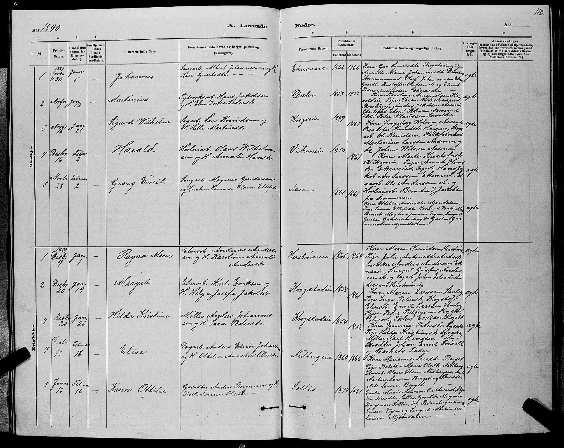 Nedre Eiker kirkebøker, AV/SAKO-A-612/G/Ga/L0002: Parish register (copy) no. 2, 1880-1896, p. 112